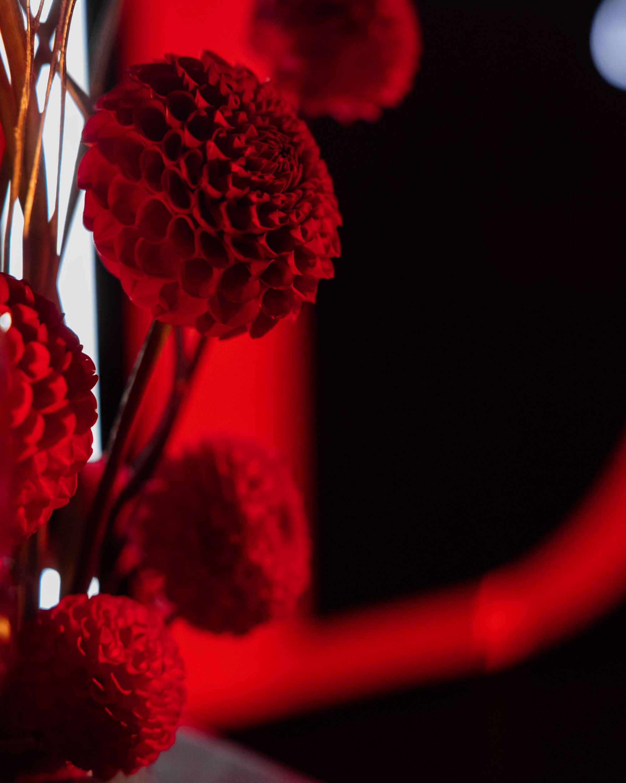 Фото: Владимир Киселев