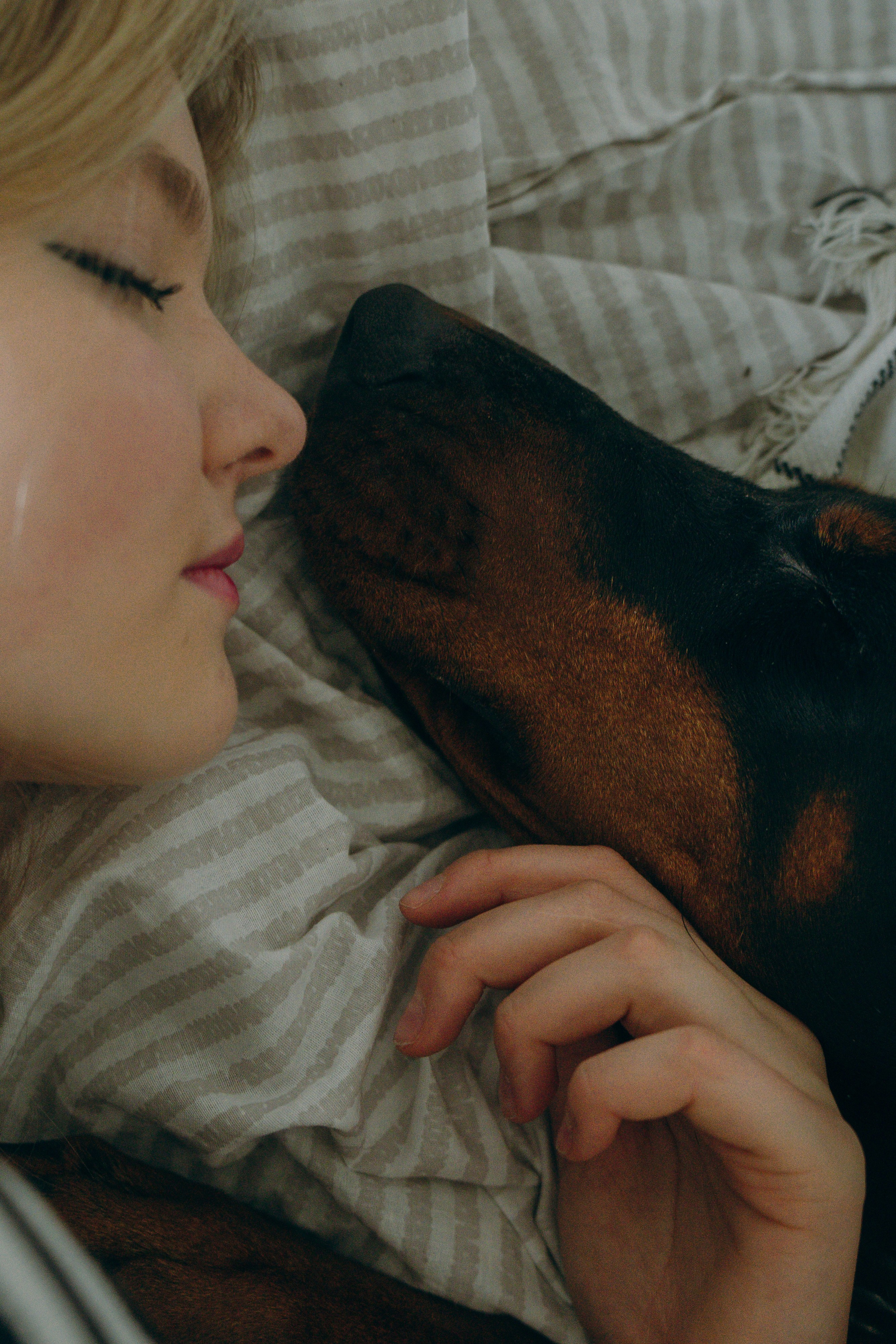 Саша и Асти. Фотограф анималист в Москве и Санкт-Петербурге Свиридова Анна