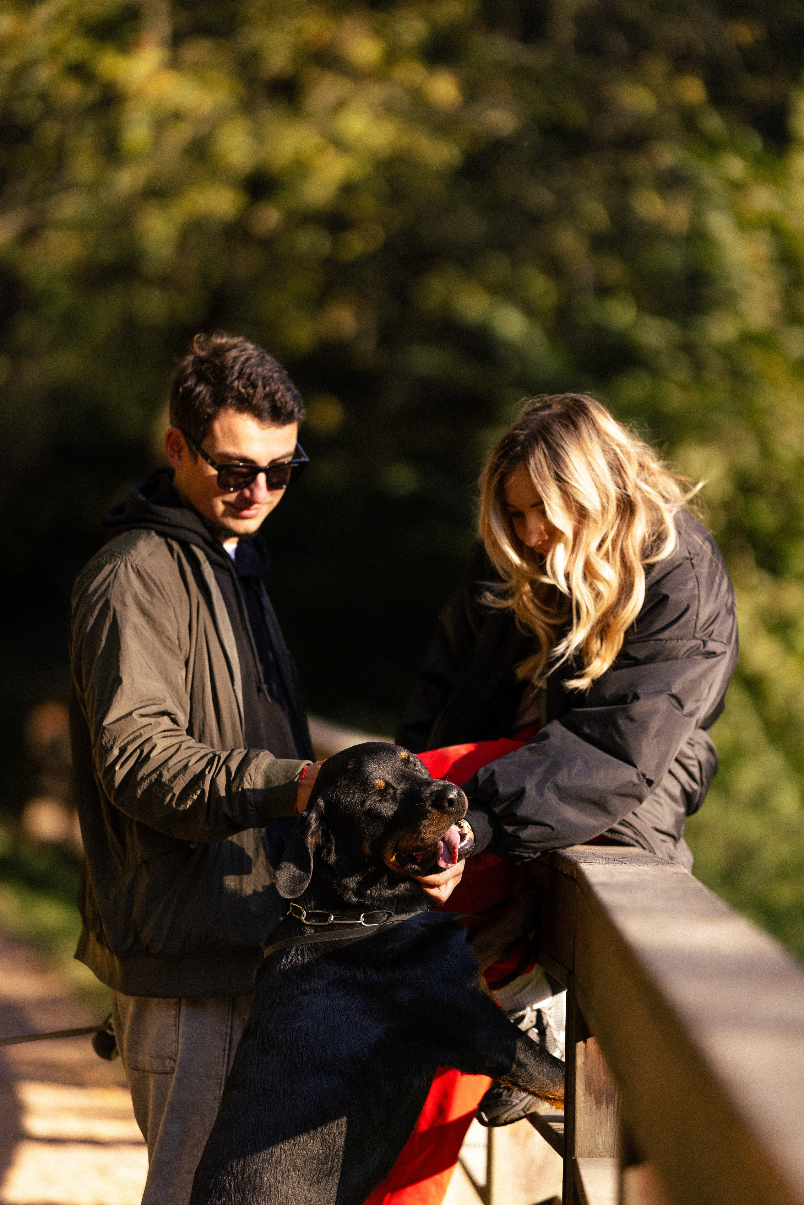 Катя, Леша, Лея и Трой. Фотограф и видеограф анималист Аганина Дарья