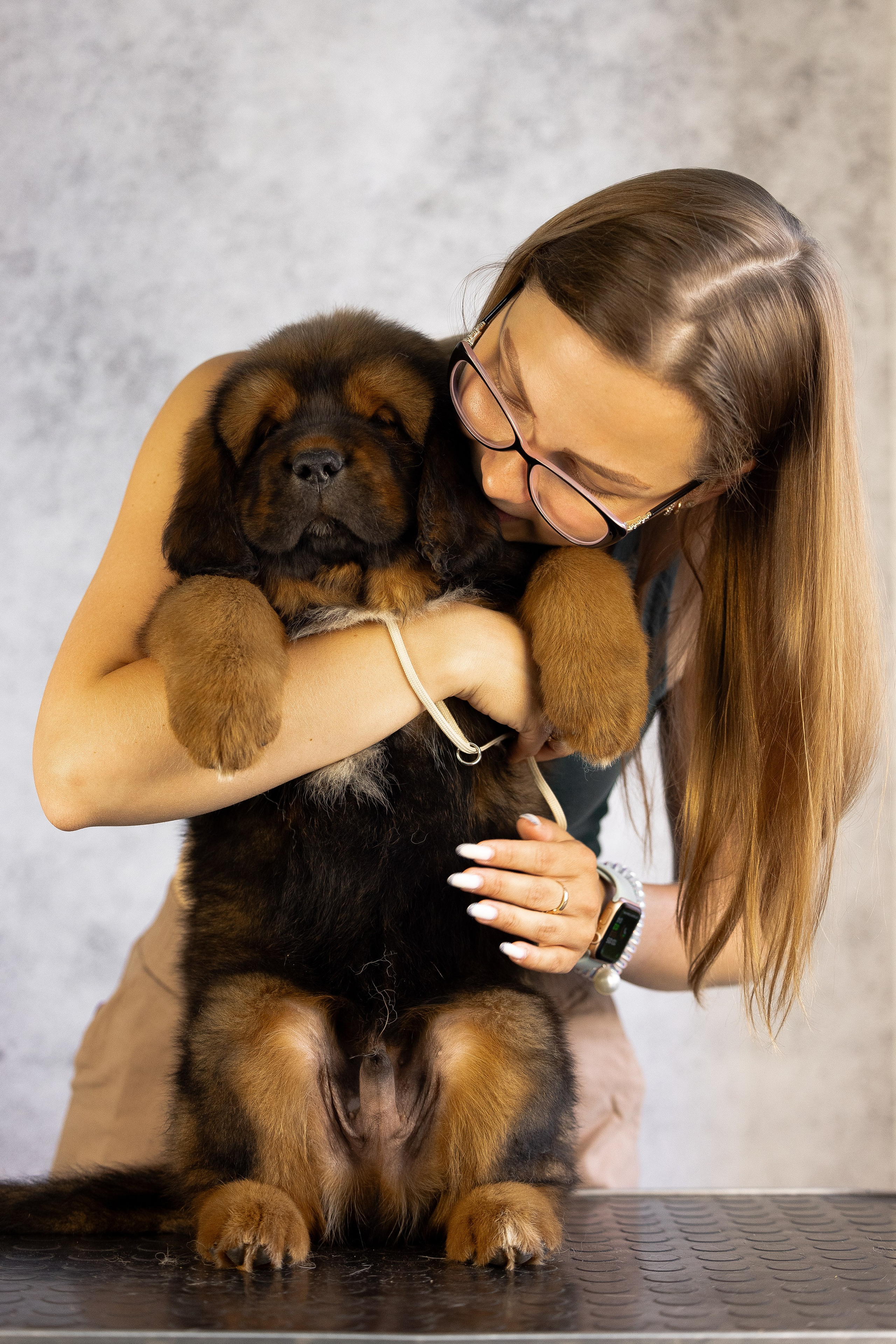 Тибетский мастиф. Фотограф и видеограф анималист Аганина Дарья