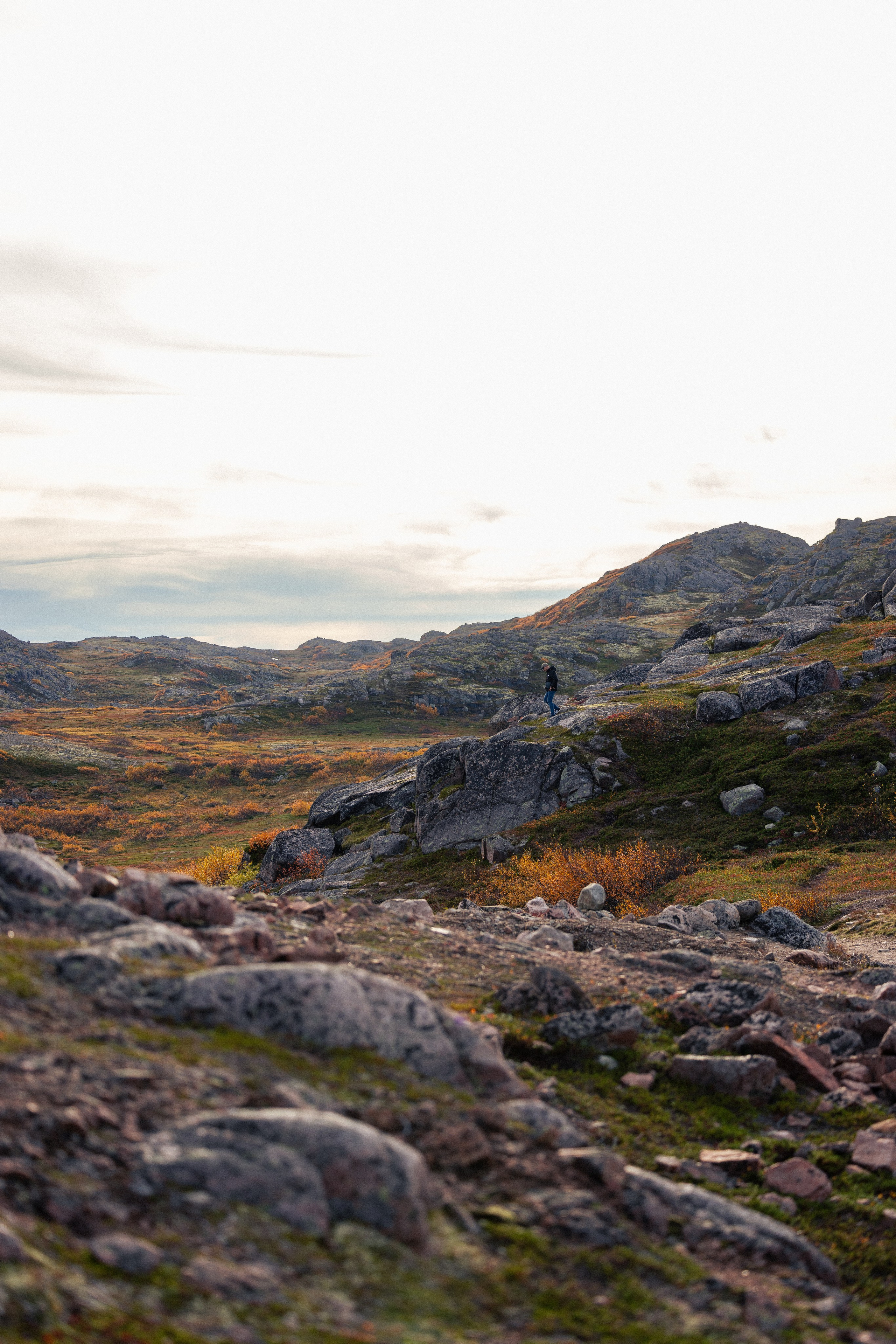 Кольский. Фотограф и видеограф анималист Аганина Дарья