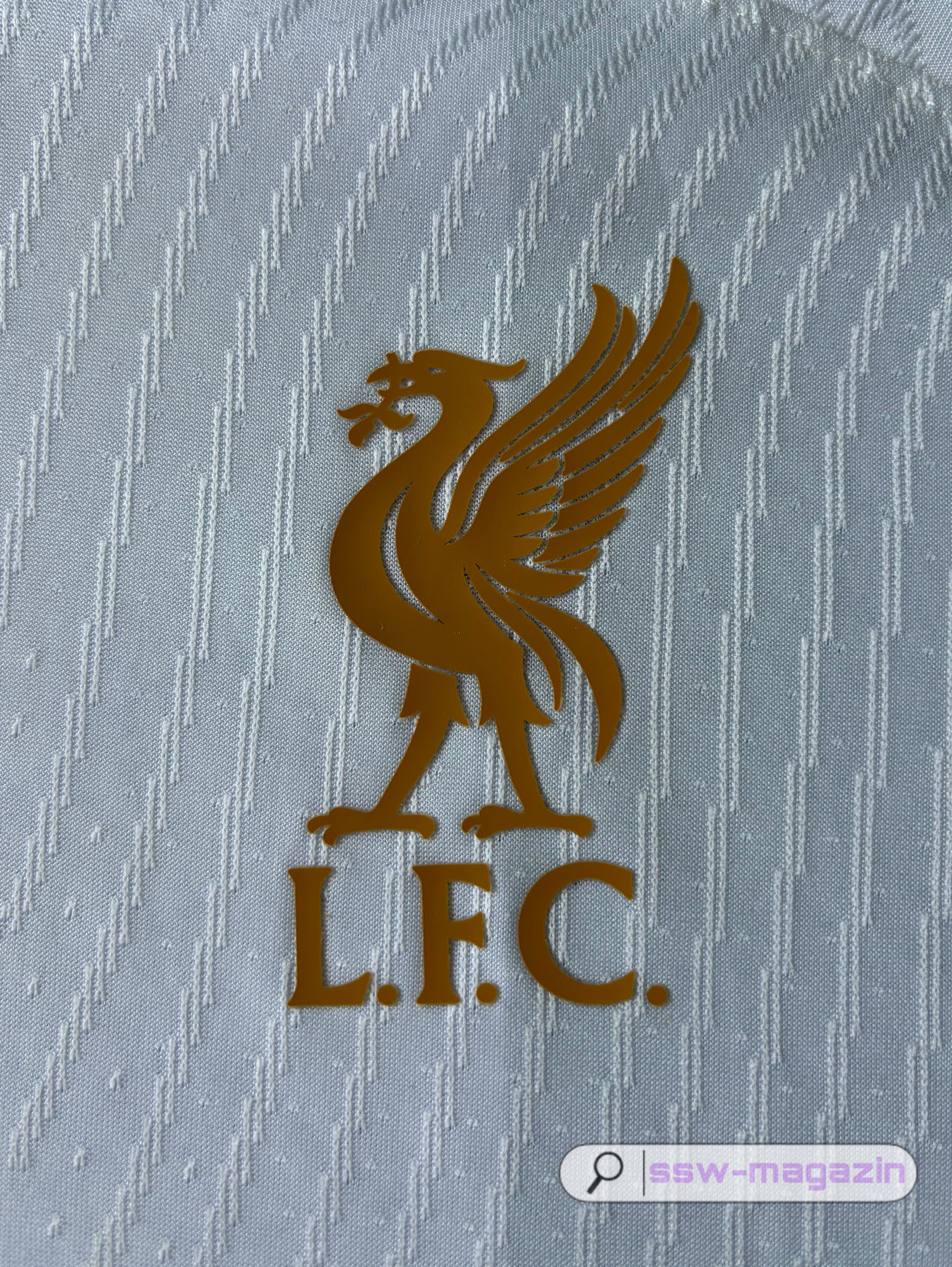 Футболка Liverpool LeBron 2024 купить. Футбольный магазин — ssw_magazin