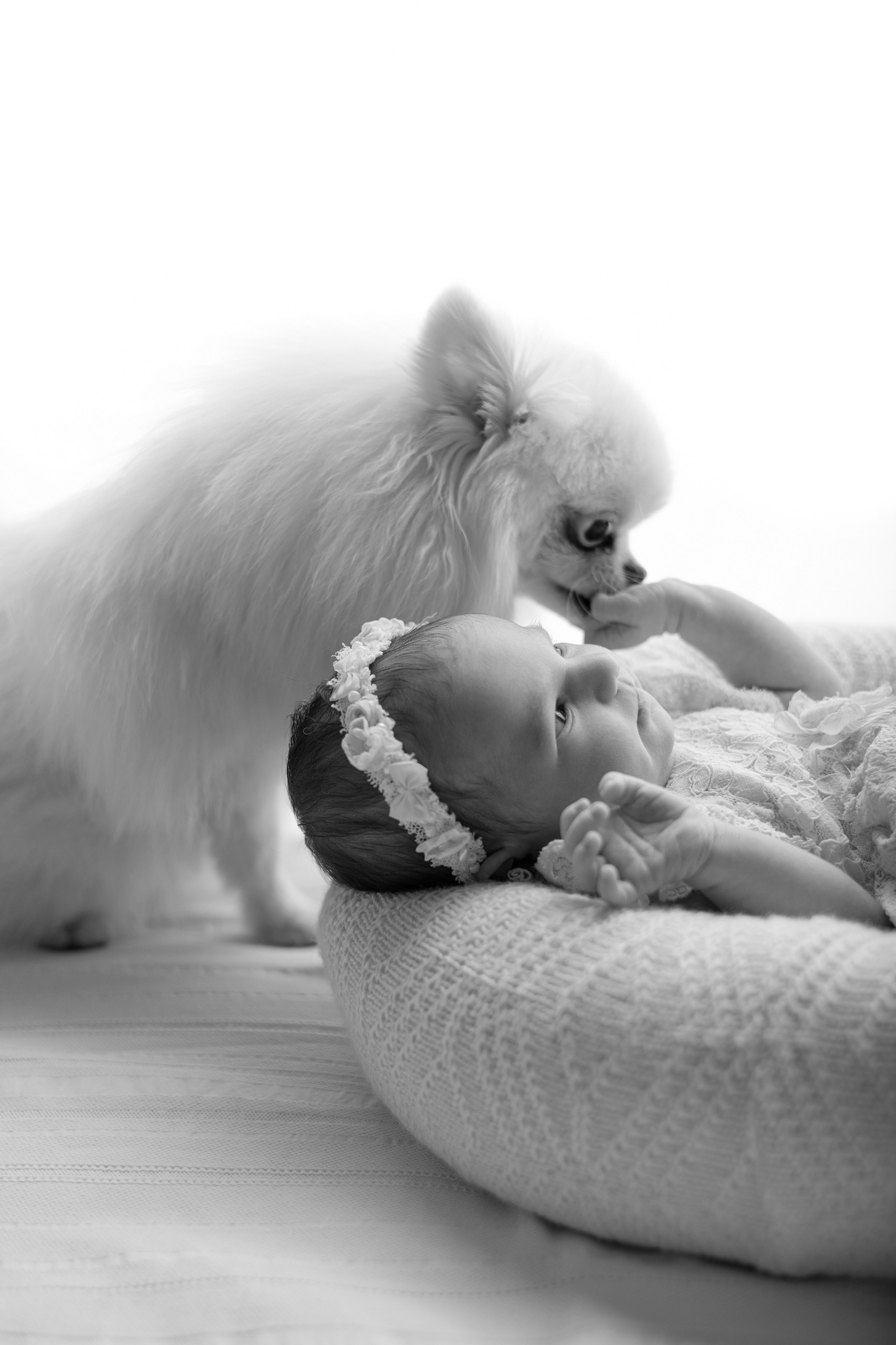 Юлия. Лилия Алтухова — фотограф новорожденных в Москве и области