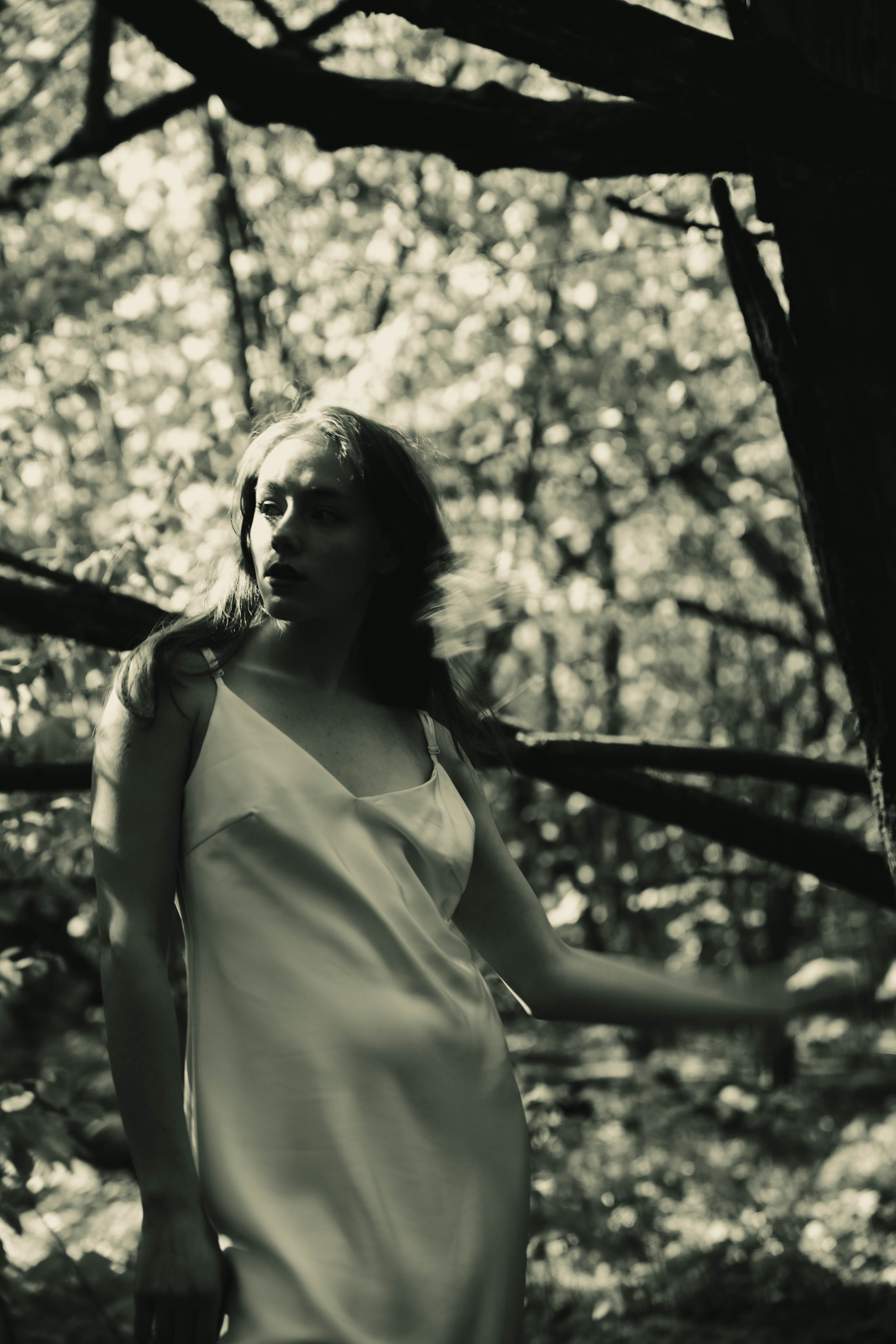 Леди. Beardy Pix