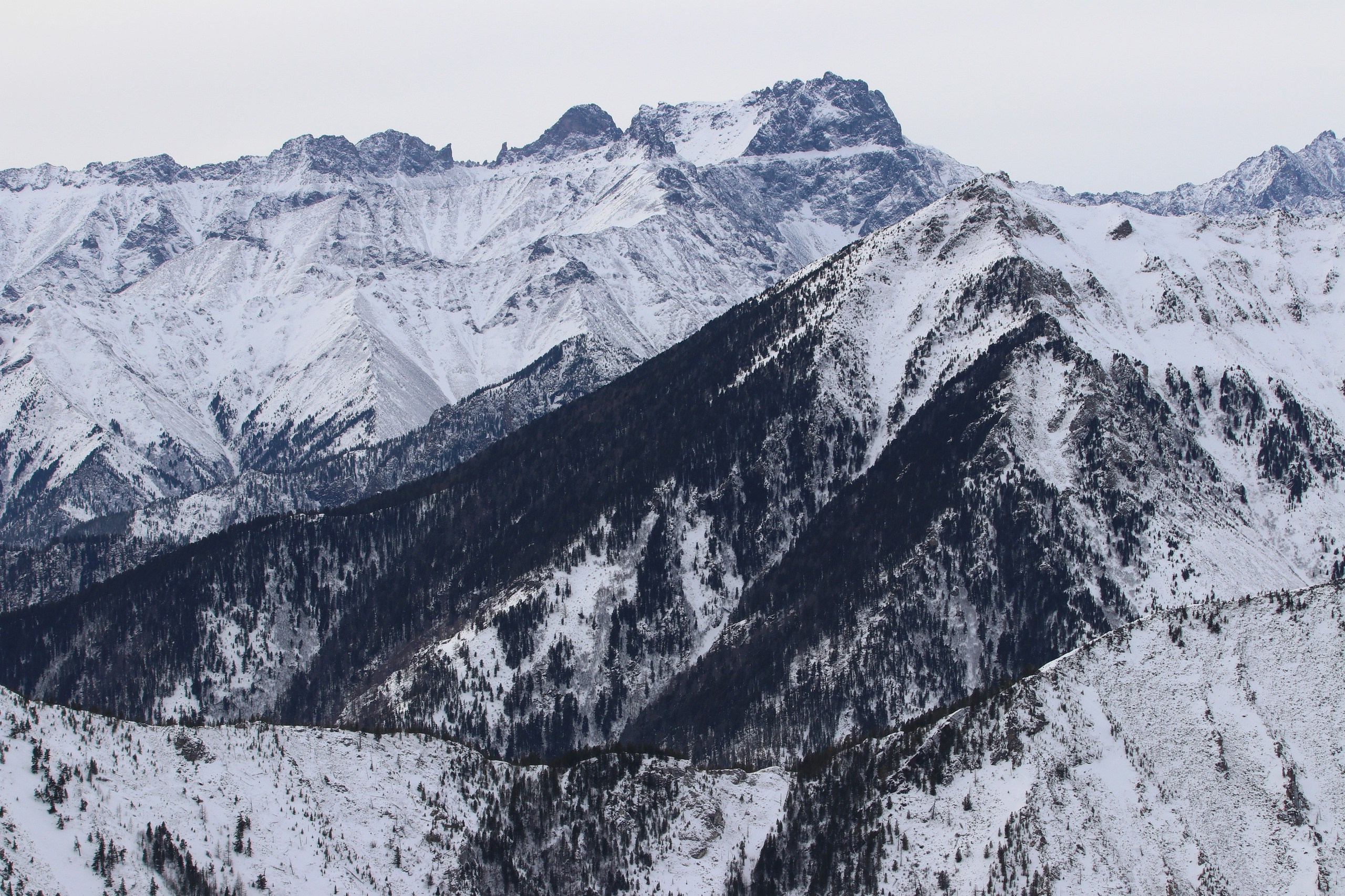 Аршан. Февраль 2025. Путешественник-фотограф из Санкт-Петербурга Татьяна Свистулина