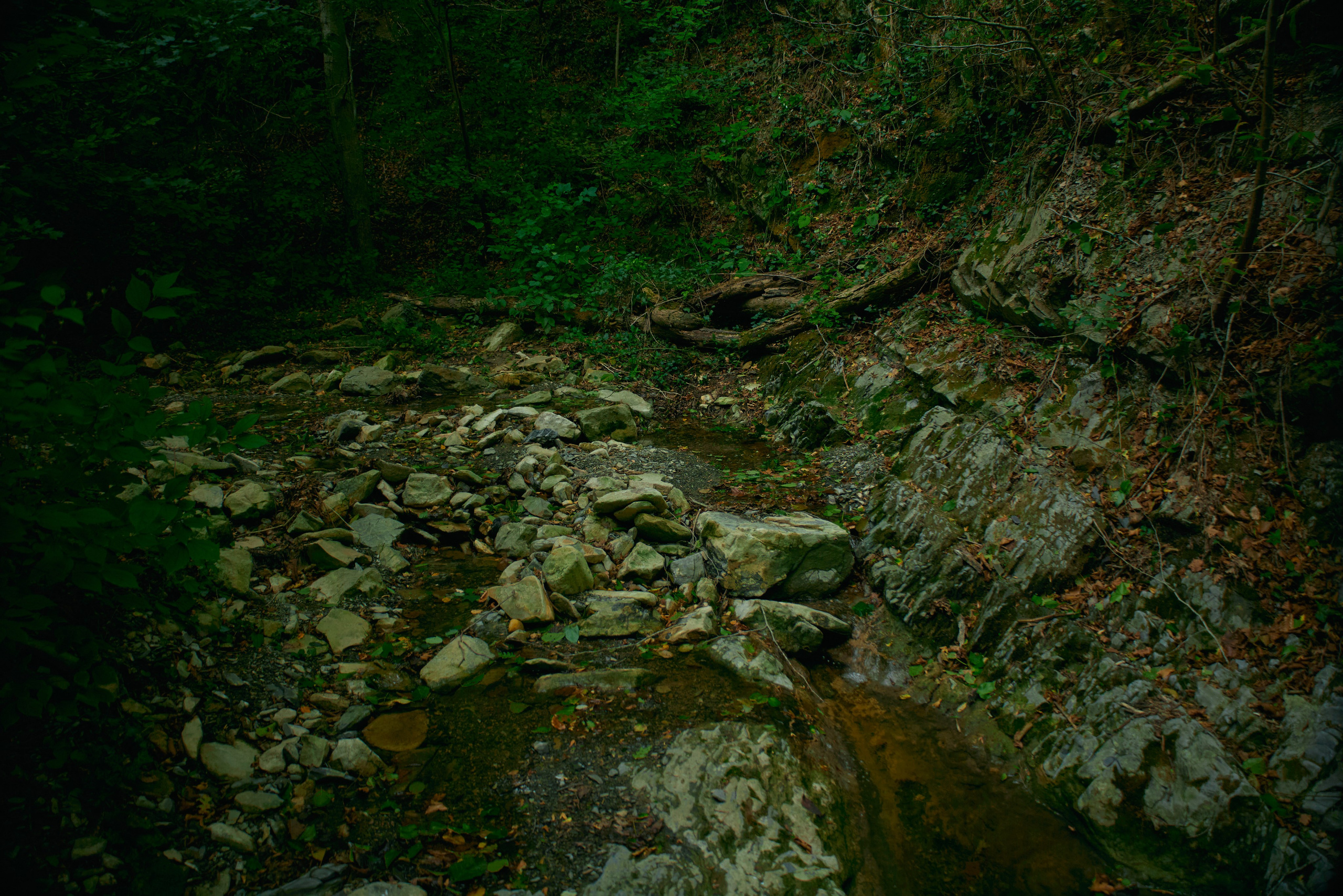 Пейзажи и уличная съёмка