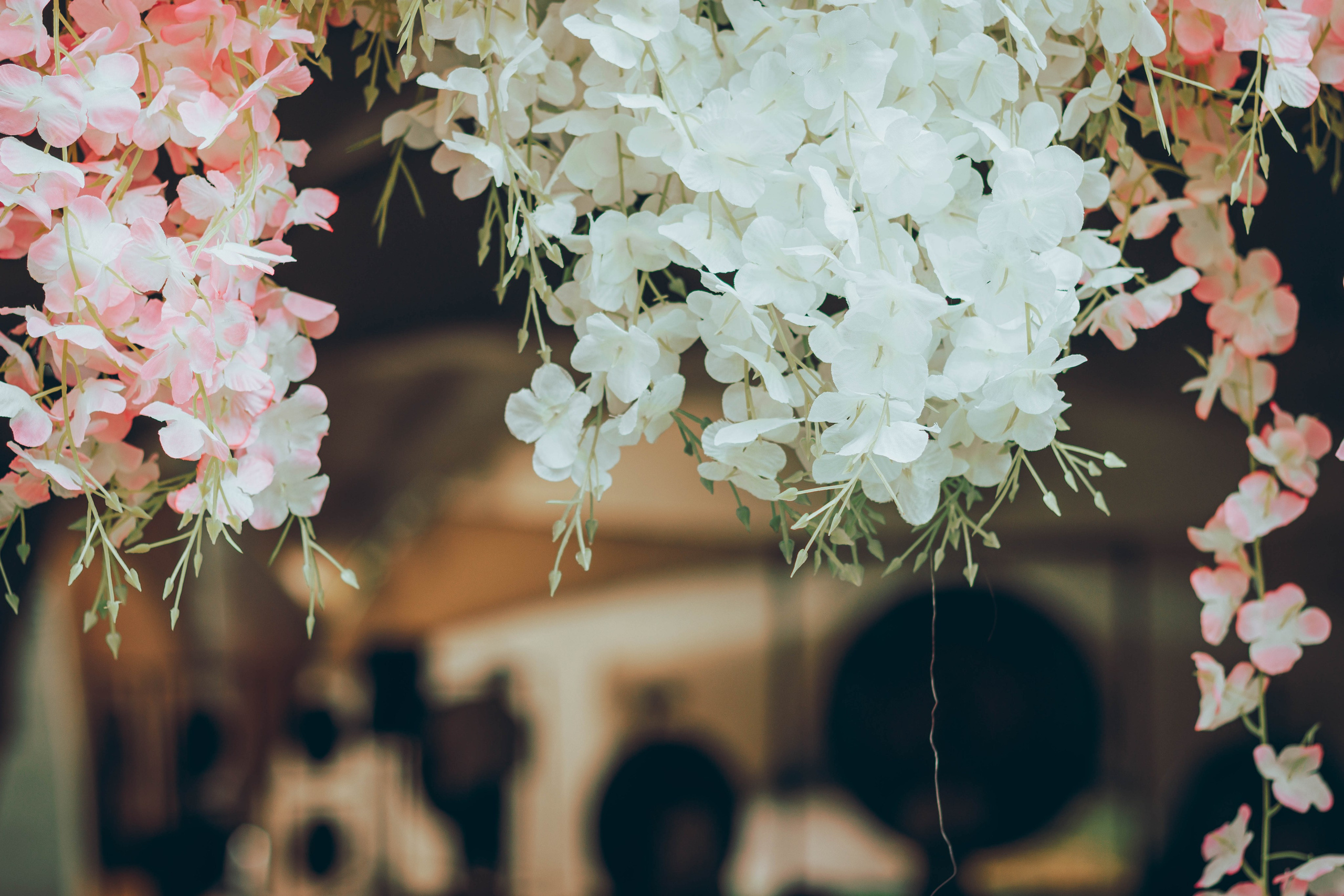 ECSTATIC WHITE |2024. Фотограф Аннё| Москва