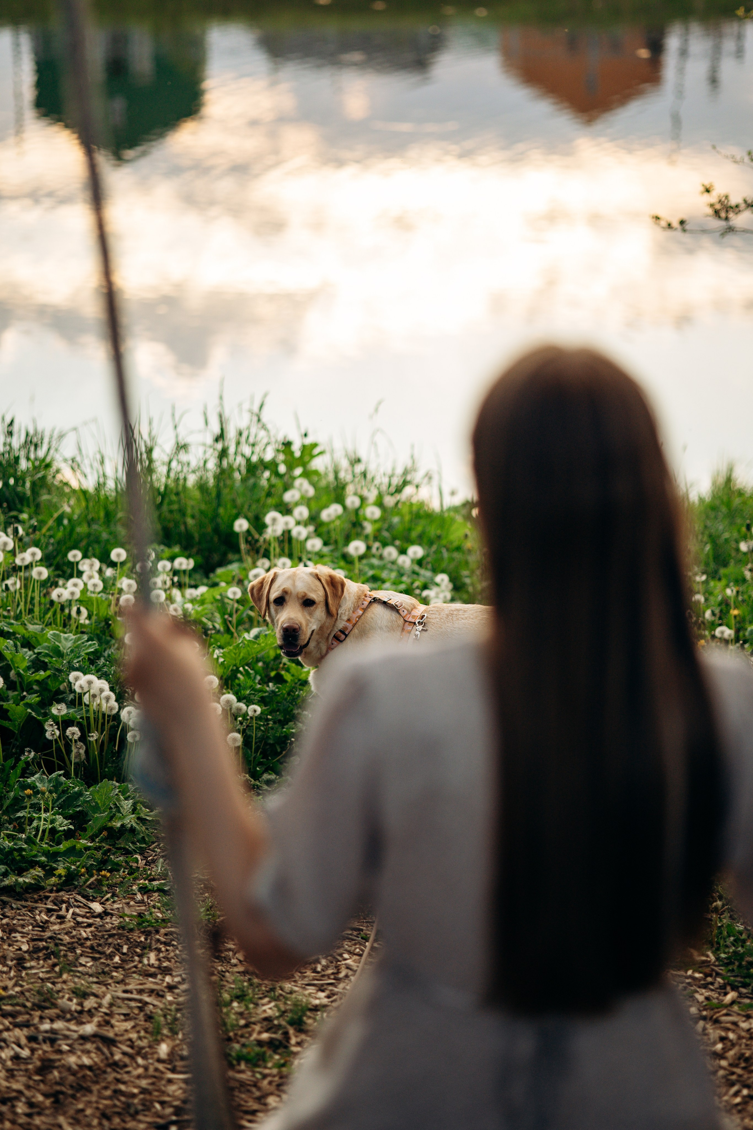 Шани и ее семья. Фотограф — Анималист | Санкт-Петербург