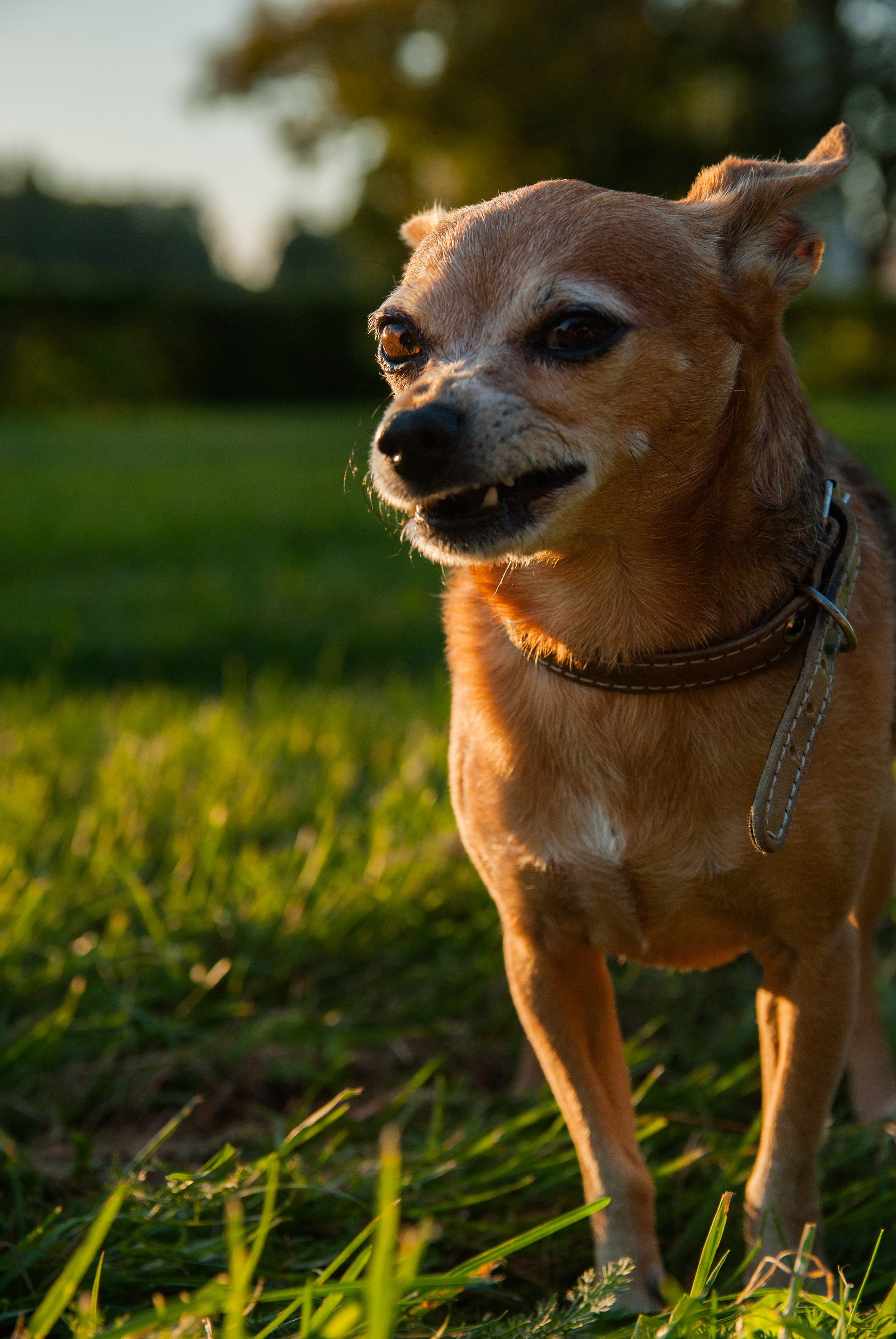 Зоопарк в моём багаже. Кошенкова Мария: портретный и репортажный фотограф. Санкт-Петербург