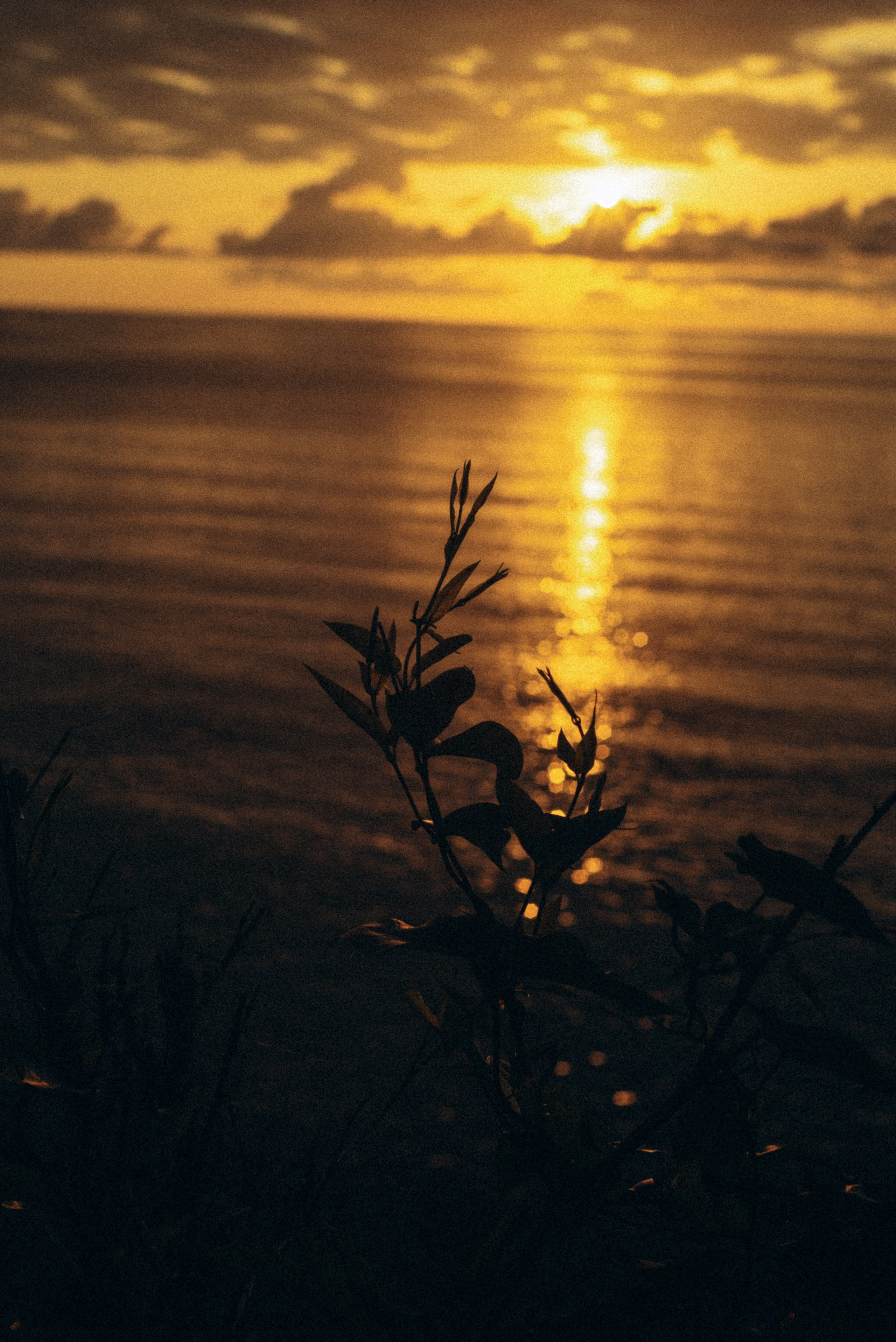 Сарпи, Грузия 🇬🇪. Anita_photo