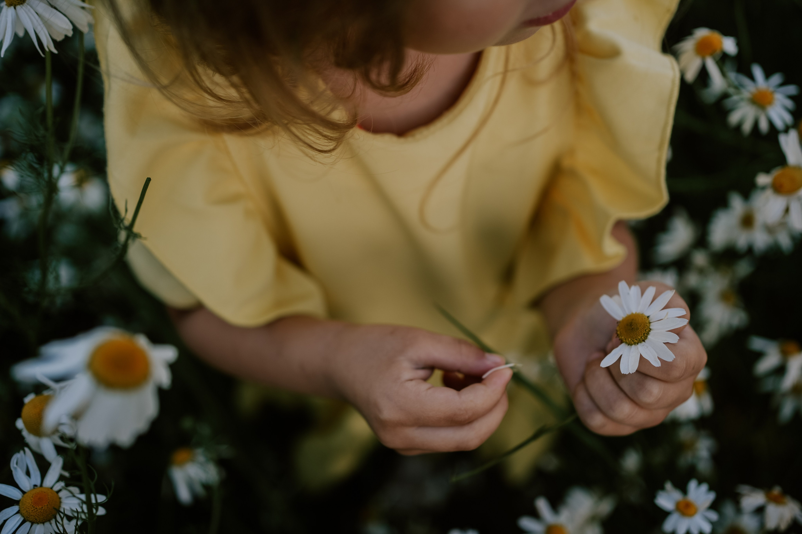 Наташа и Злата. Семейный и детский фотограф Плесецк, Мирный Марина Забабурина