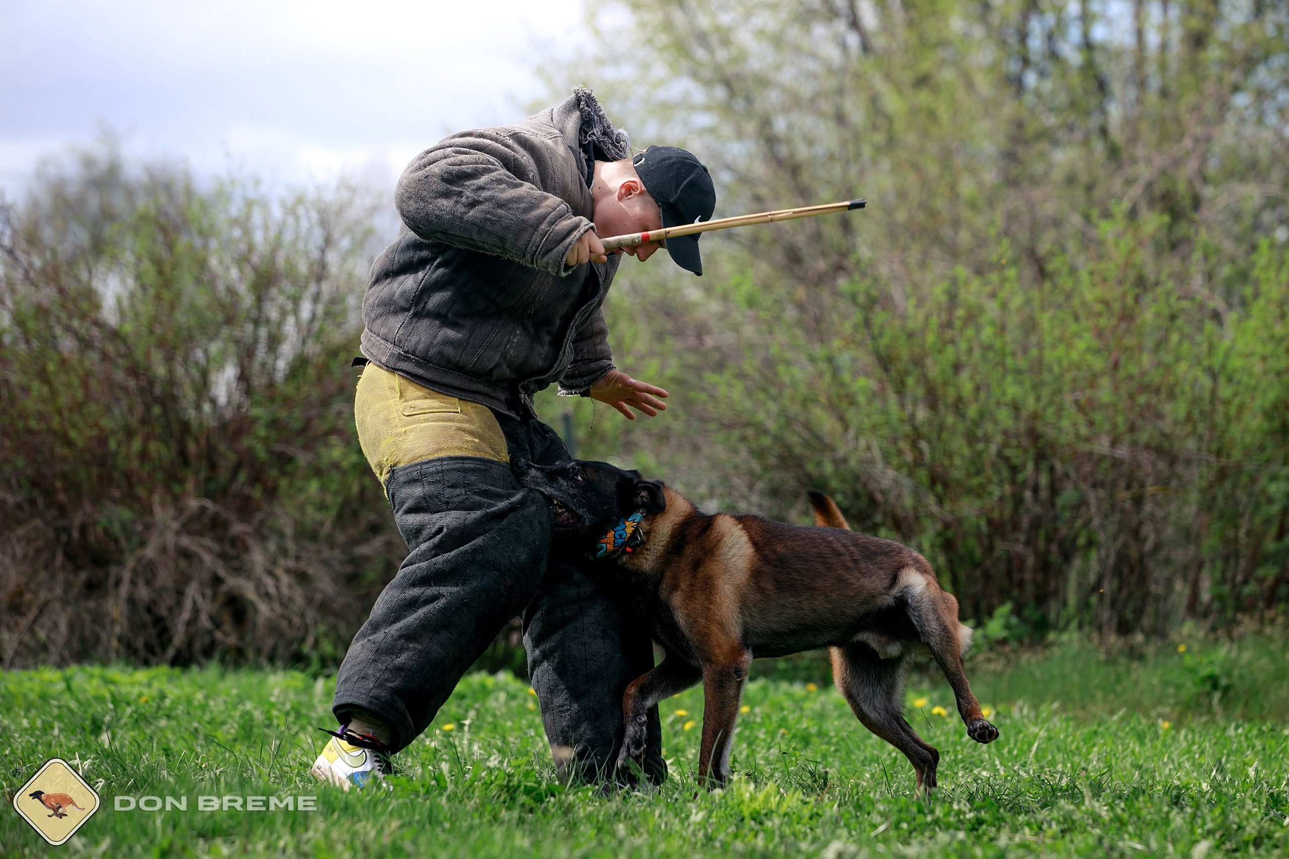 Семинар для фигурантов, день 2. Фотограф-анималист Mary Mart — Москва, Питер