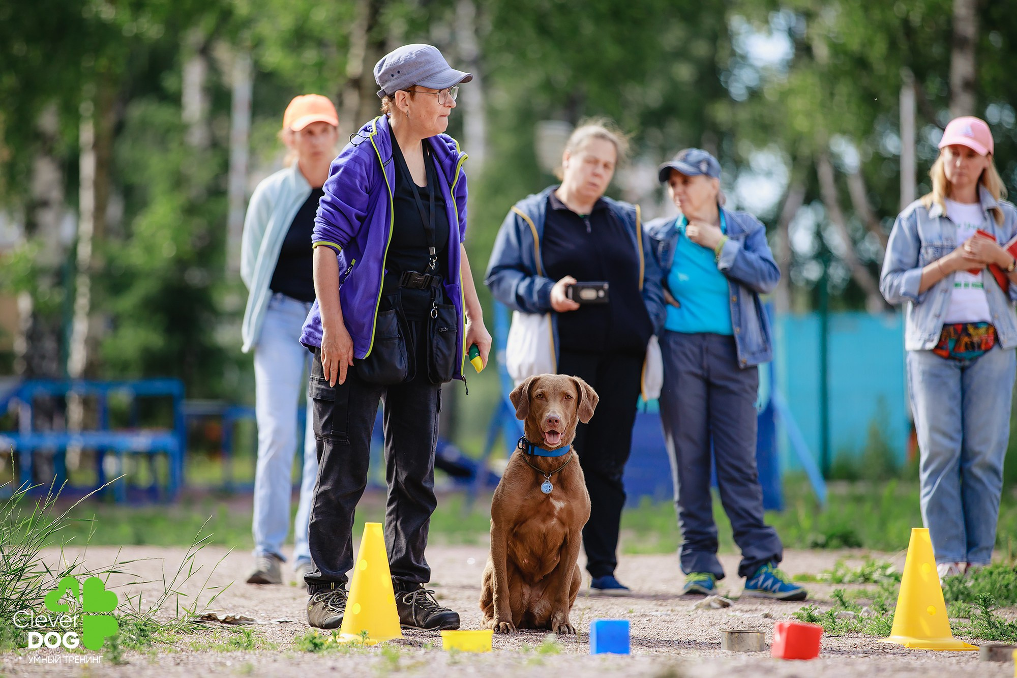 Семинар по поиску запаха с Иваном Ломовым, организатор CleverDog, СПб. Фотограф-анималист Mary Mart — Москва, Питер