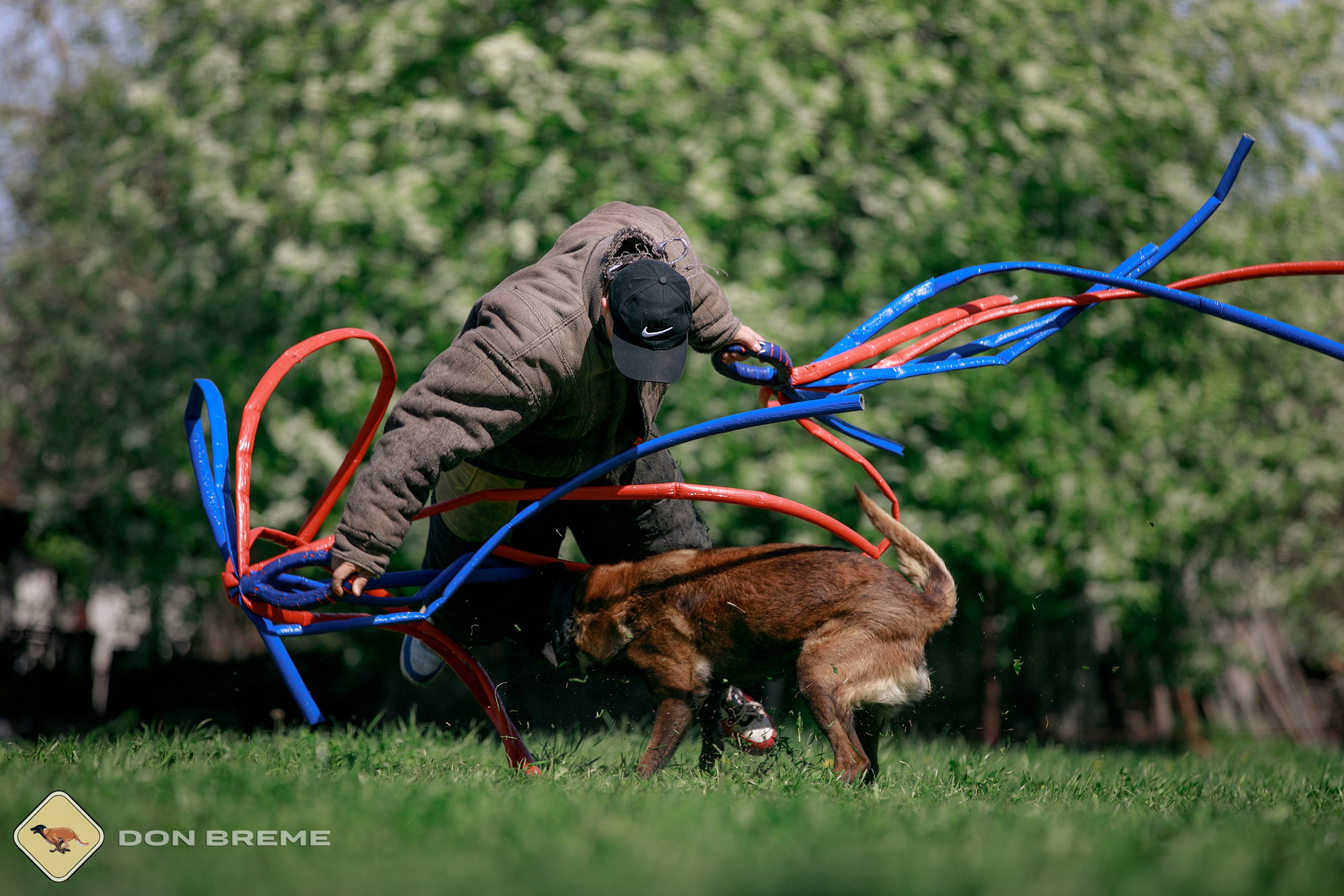 Семинар для фигурантов, день 4. Фотограф-анималист Mary Mart — Москва, Питер