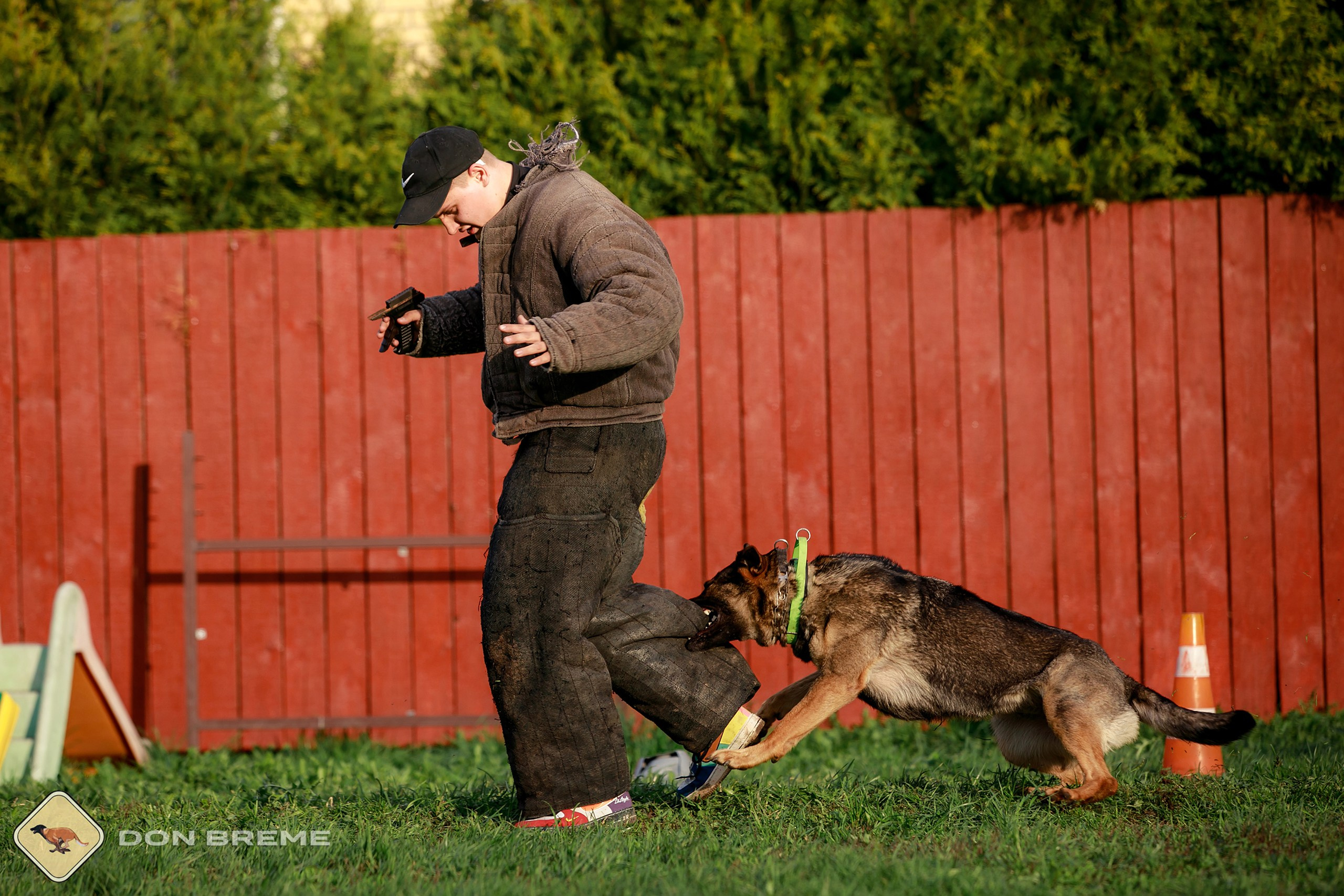 Семинар для фигурантов, день 2. Фотограф-анималист Mary Mart — Москва, Питер