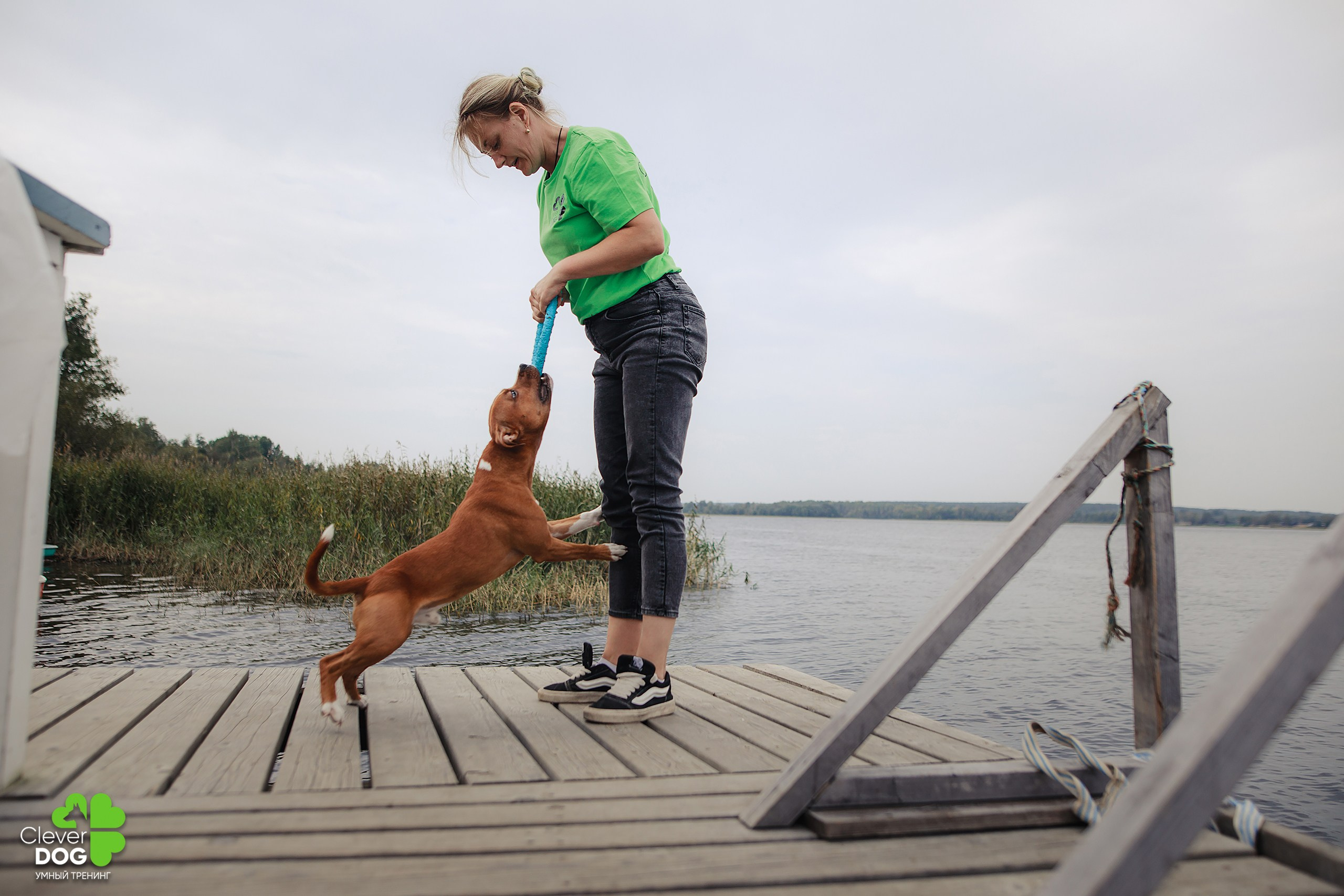 Кинологический лагерь CleverDog, 2024. Фотограф-анималист Mary Mart — Москва, Питер