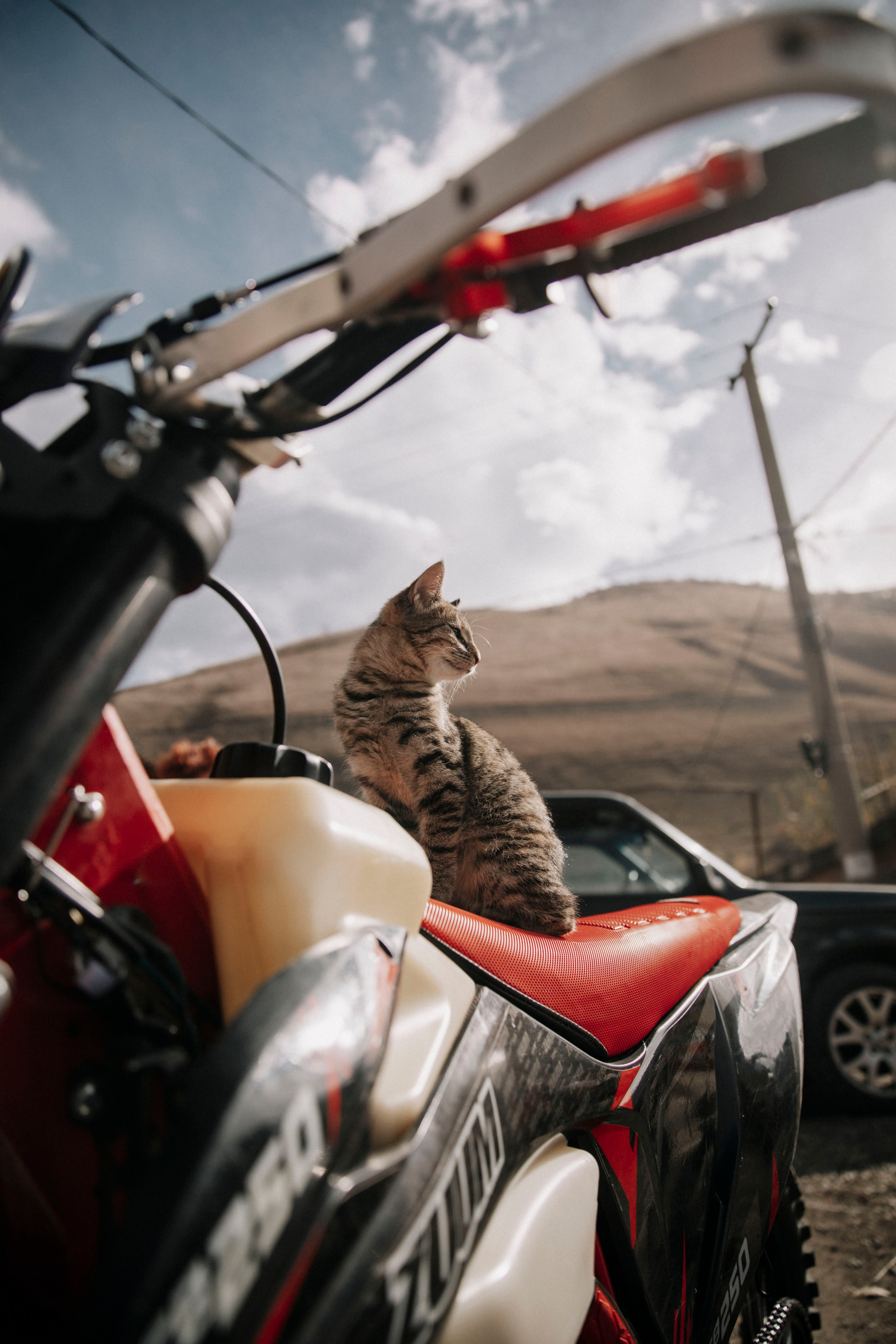 Треккинг / восхождения / активности