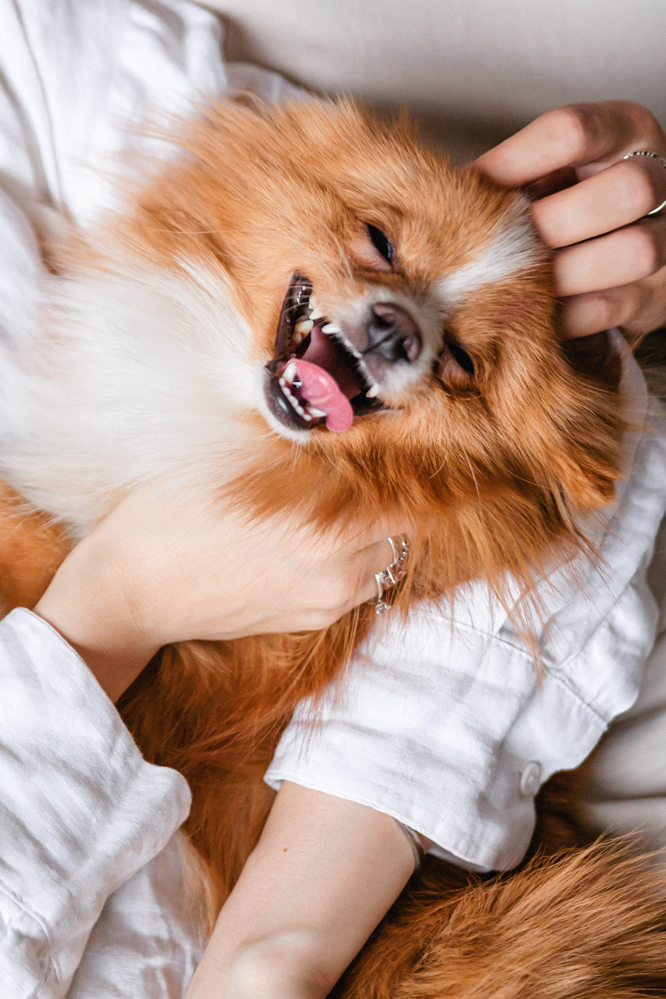 Саша и Богдан. Крылова Светлана Фотограф Челябинск