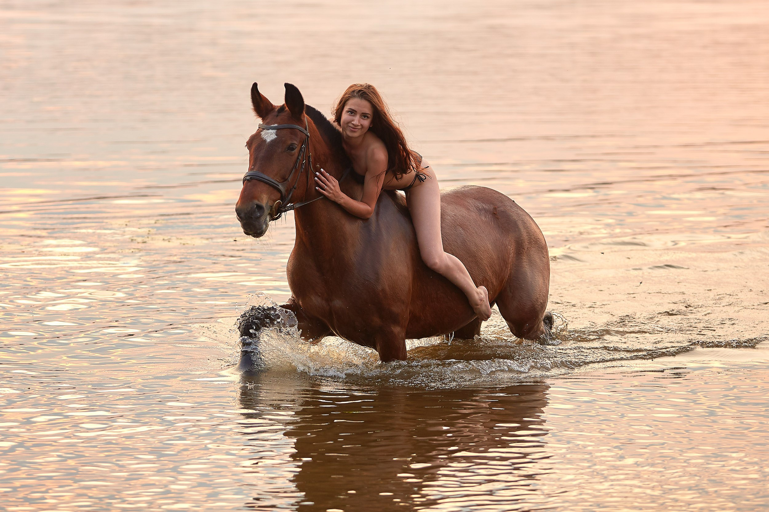 Фотосессия с лошадьми, Фотограф Михаил Семенов г. Ярославль