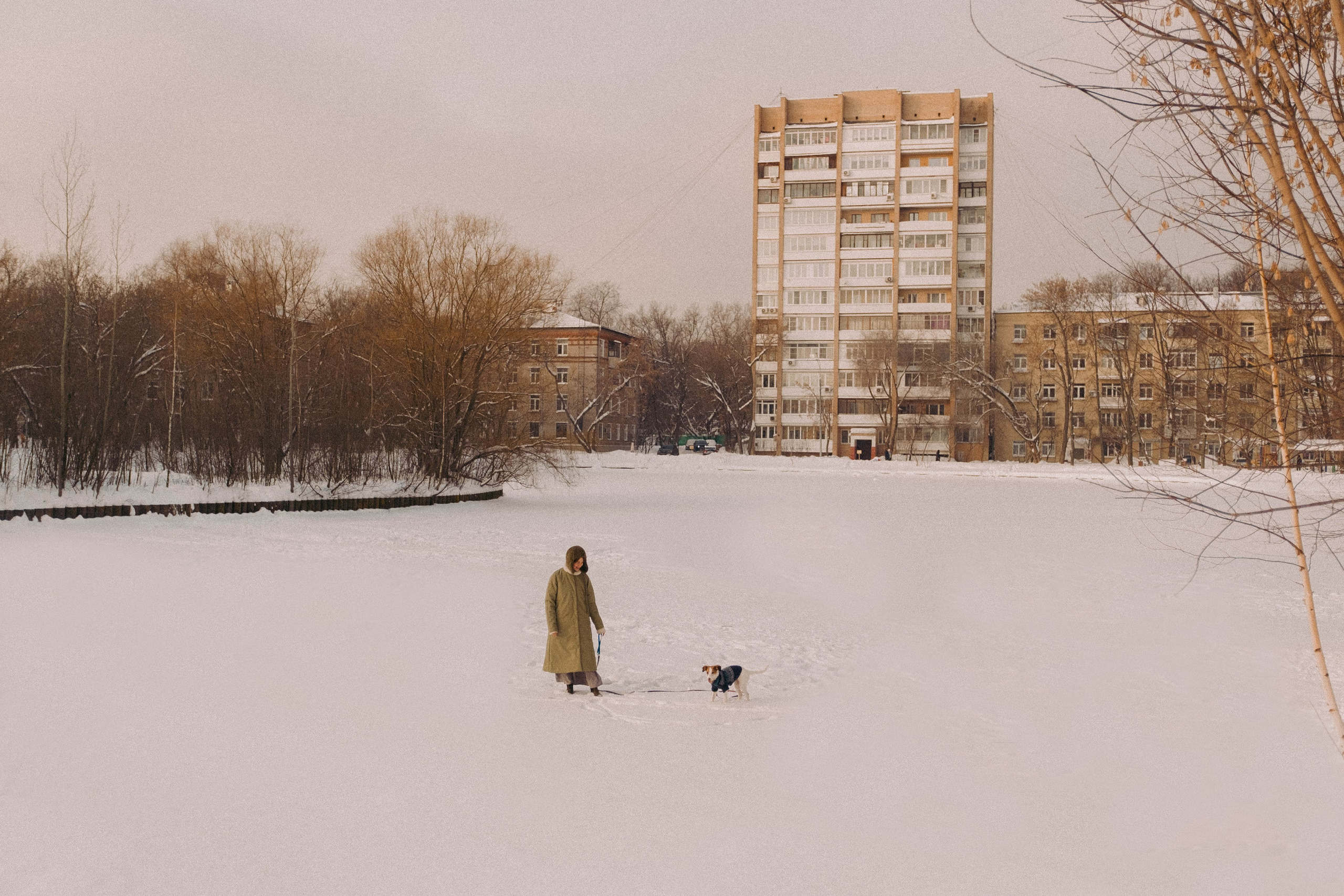 Лика и Клео. Свадебный фотограф Оля Григунова