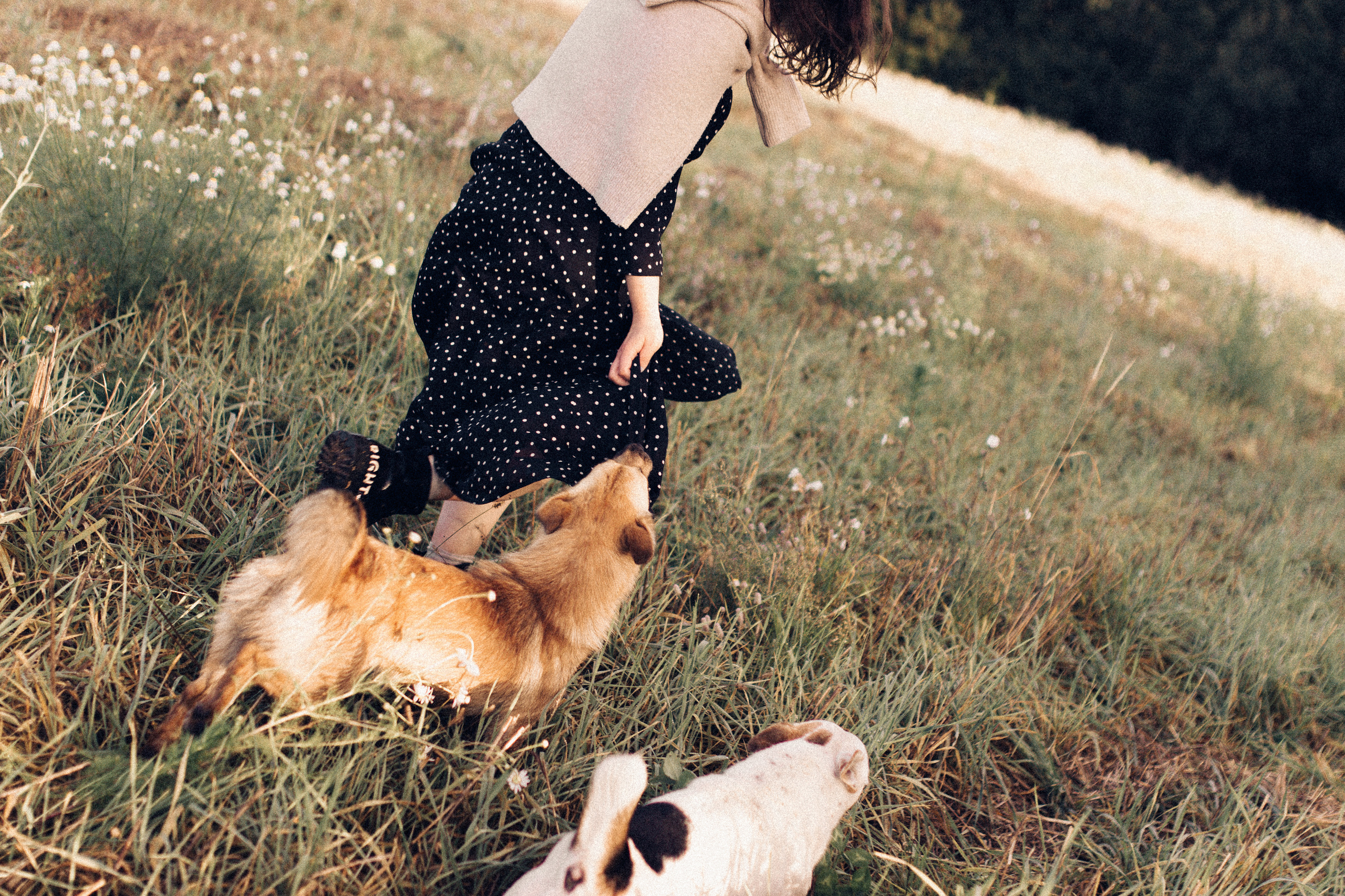 РАНІЦА Ў ВЁСЦЫ. Фотограф Юля Королёва