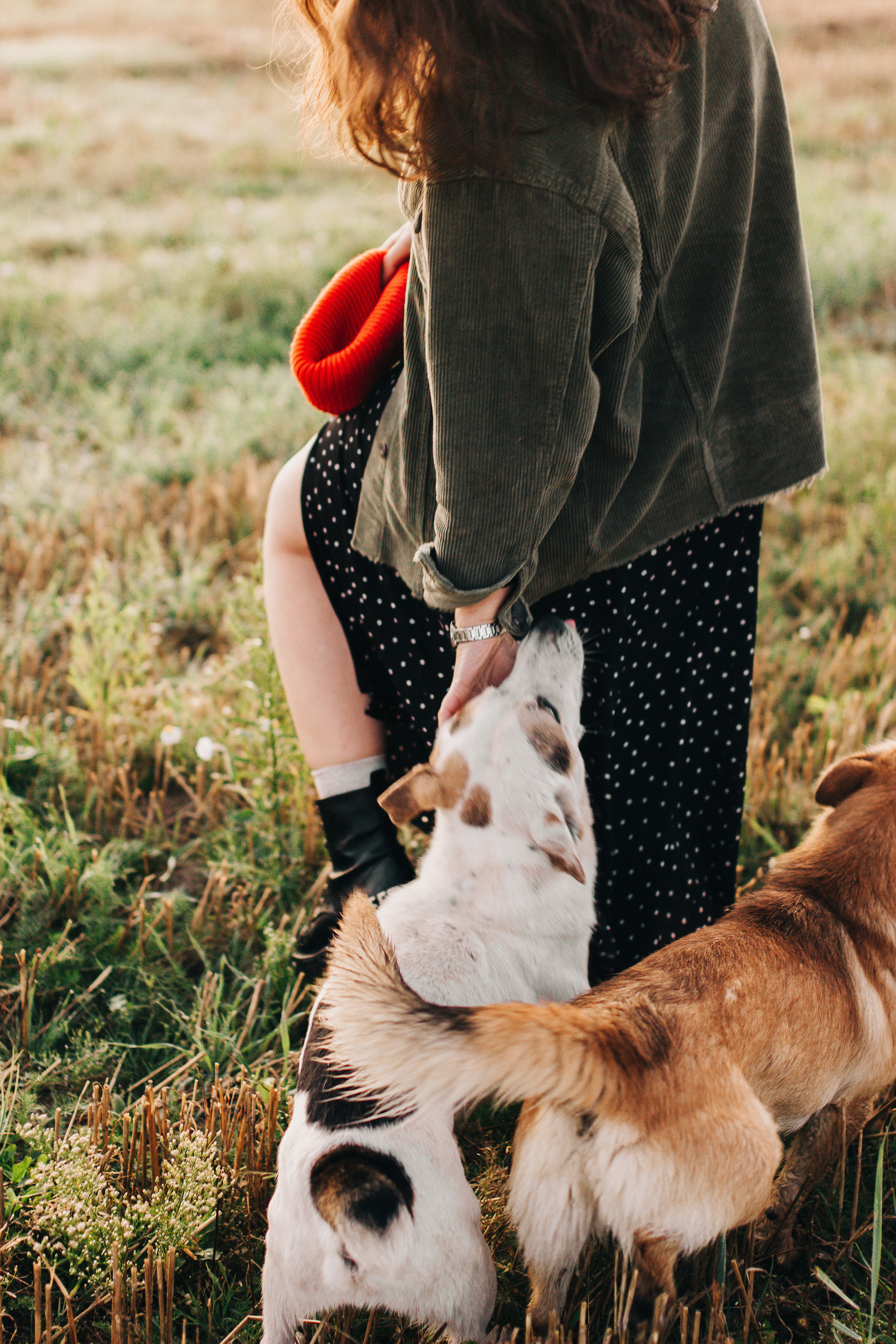 РАНІЦА Ў ВЁСЦЫ. Фотограф Юля Королёва