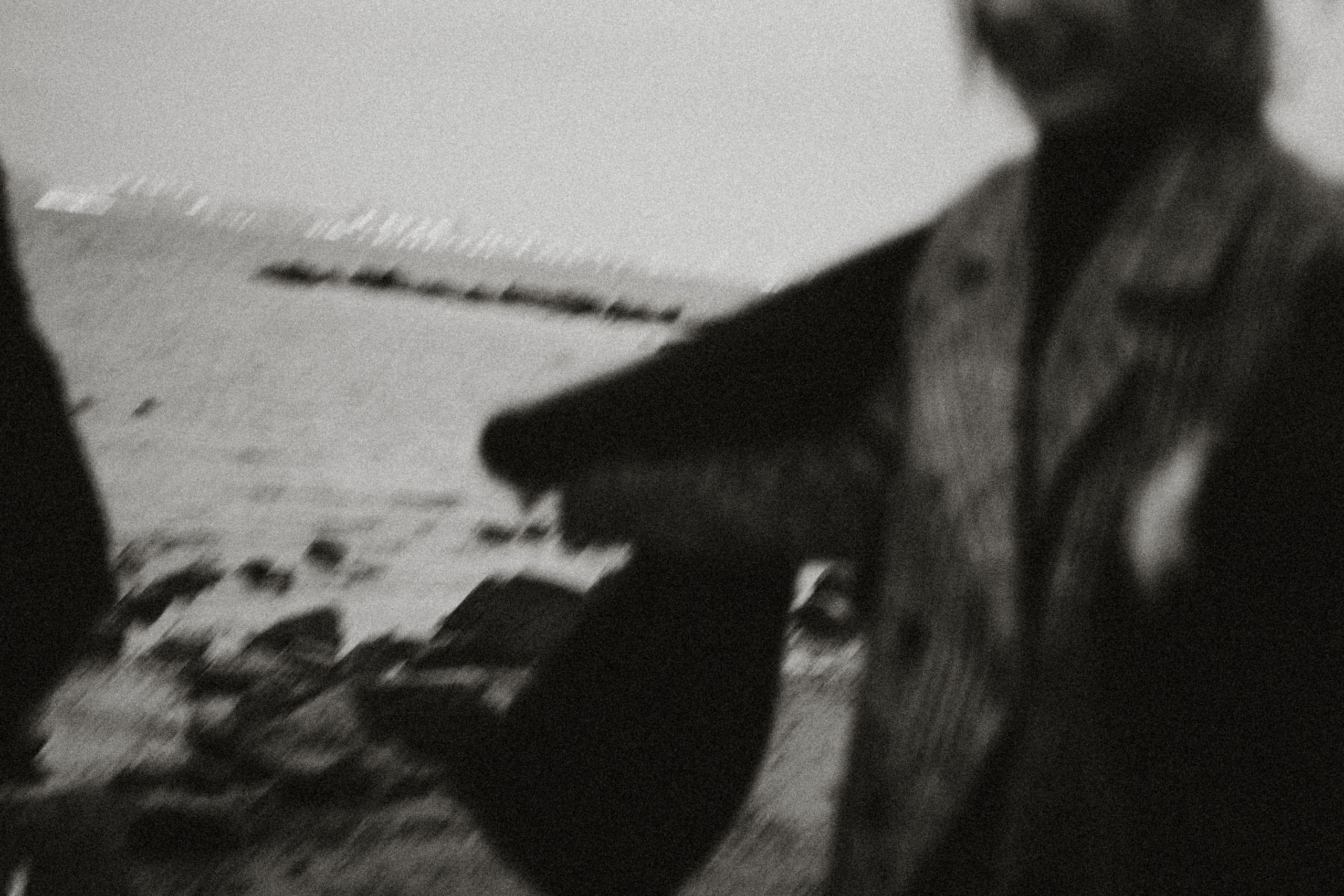 КАВАЛАЧКІ ШЧАСЦЯ. Фотограф Юля Королёва