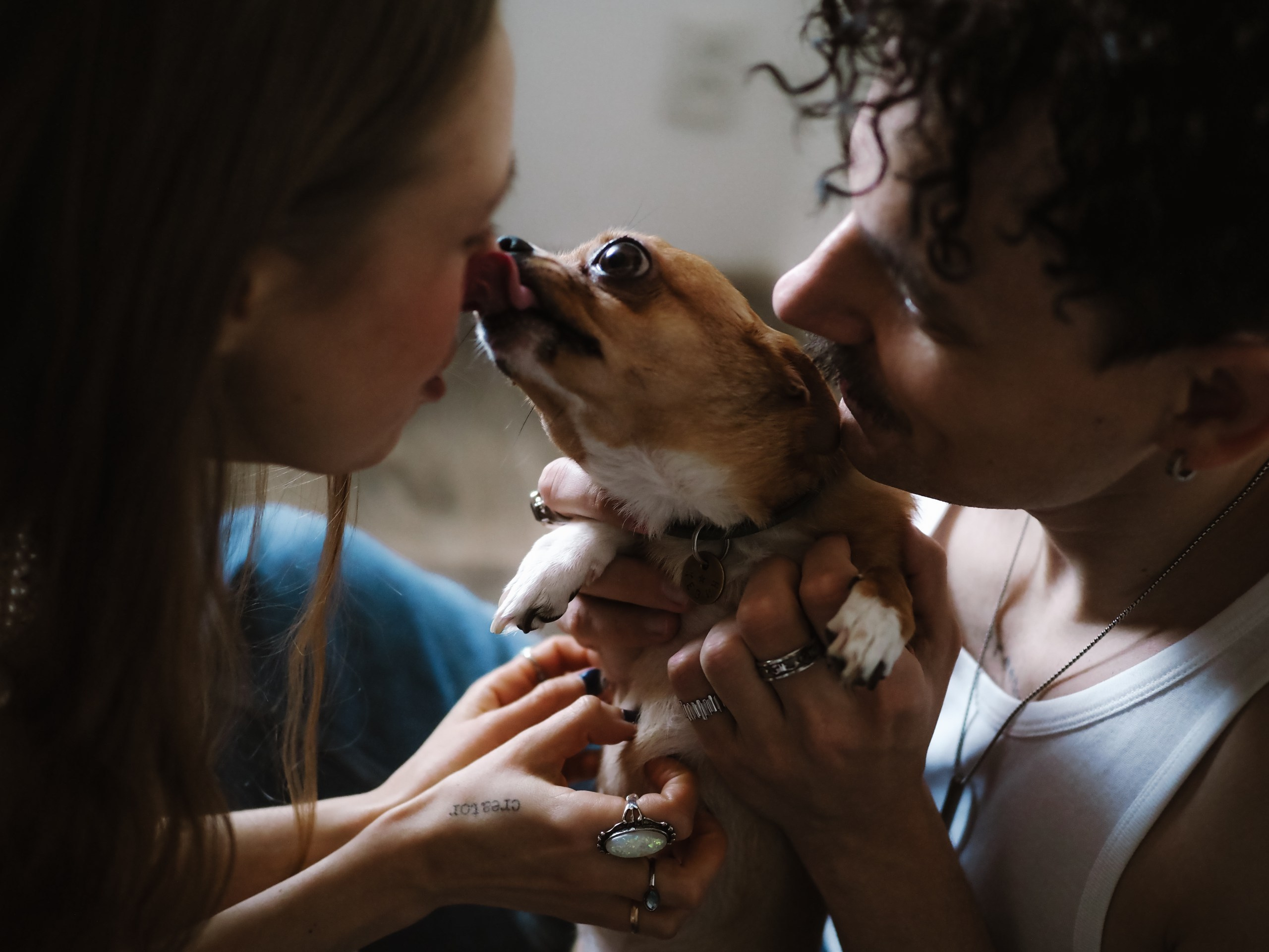 NestiDeni. Фотограф Рязань. Семейный Свадебный фотограф
