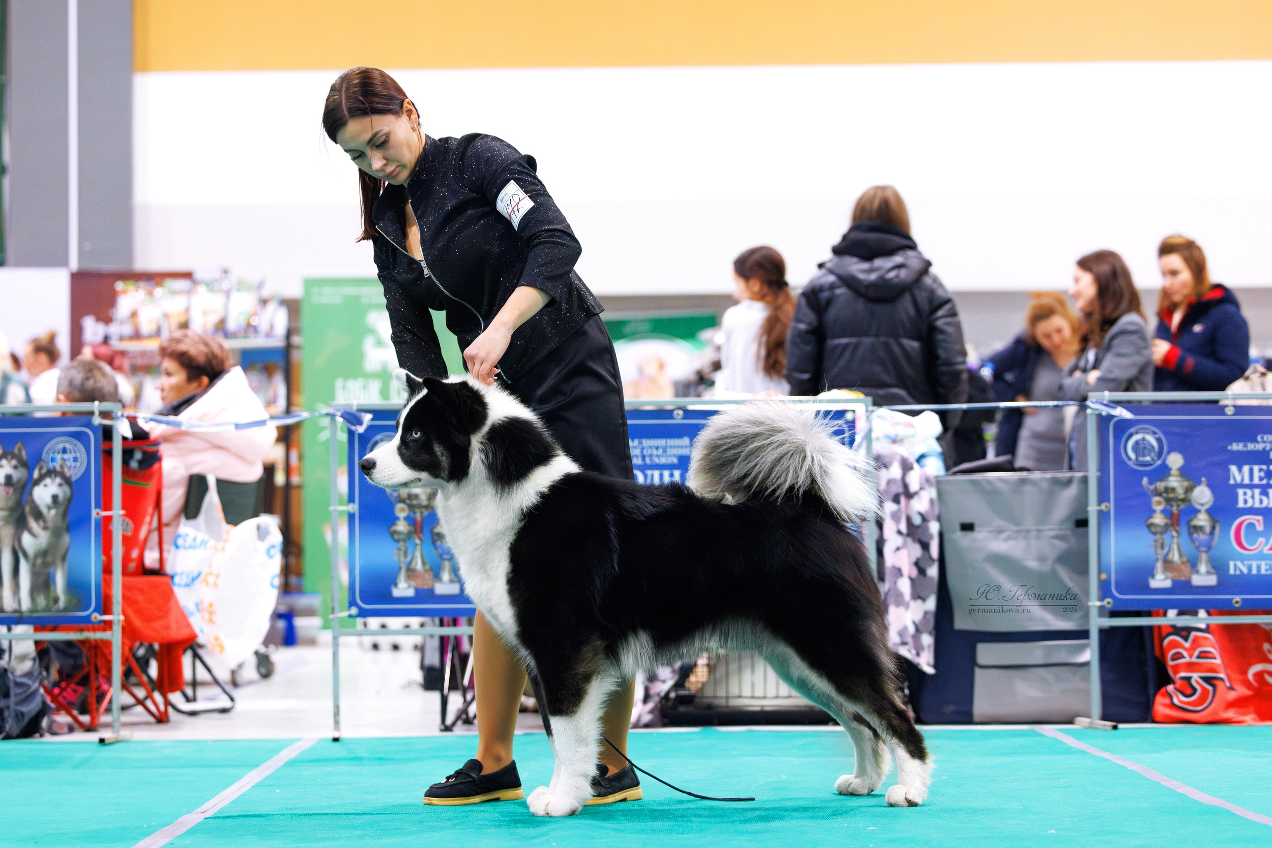 Минск 23.11.2024. Фотограф-анималист Юлия Германика