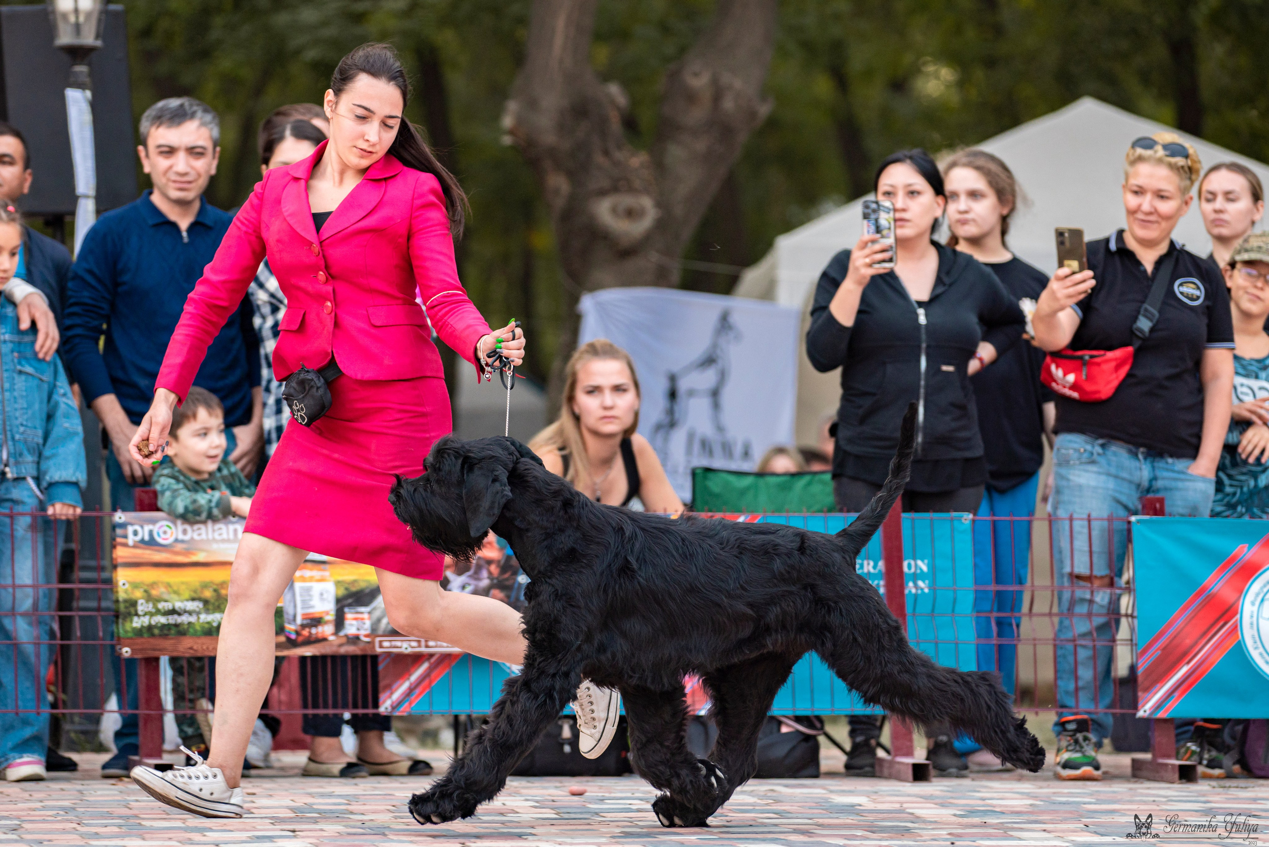 Ташкент 6-8.10.2023 + Алматы 14-15.10.2023. Фотограф-анималист Юлия Германика