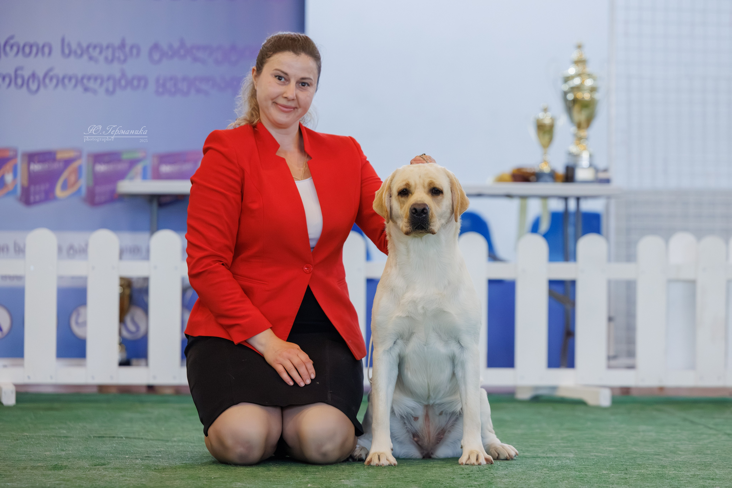 Батуми 3хCACIB 27-29.06.2025. Фотограф-анималист Юлия Германика