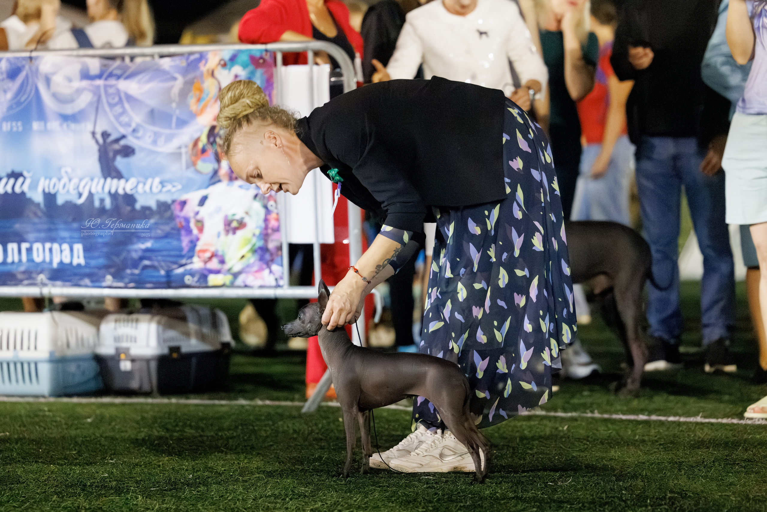 Калининград 25-27.07 Волгоград 1-3.08 2025. Фотограф-анималист Юлия Германика