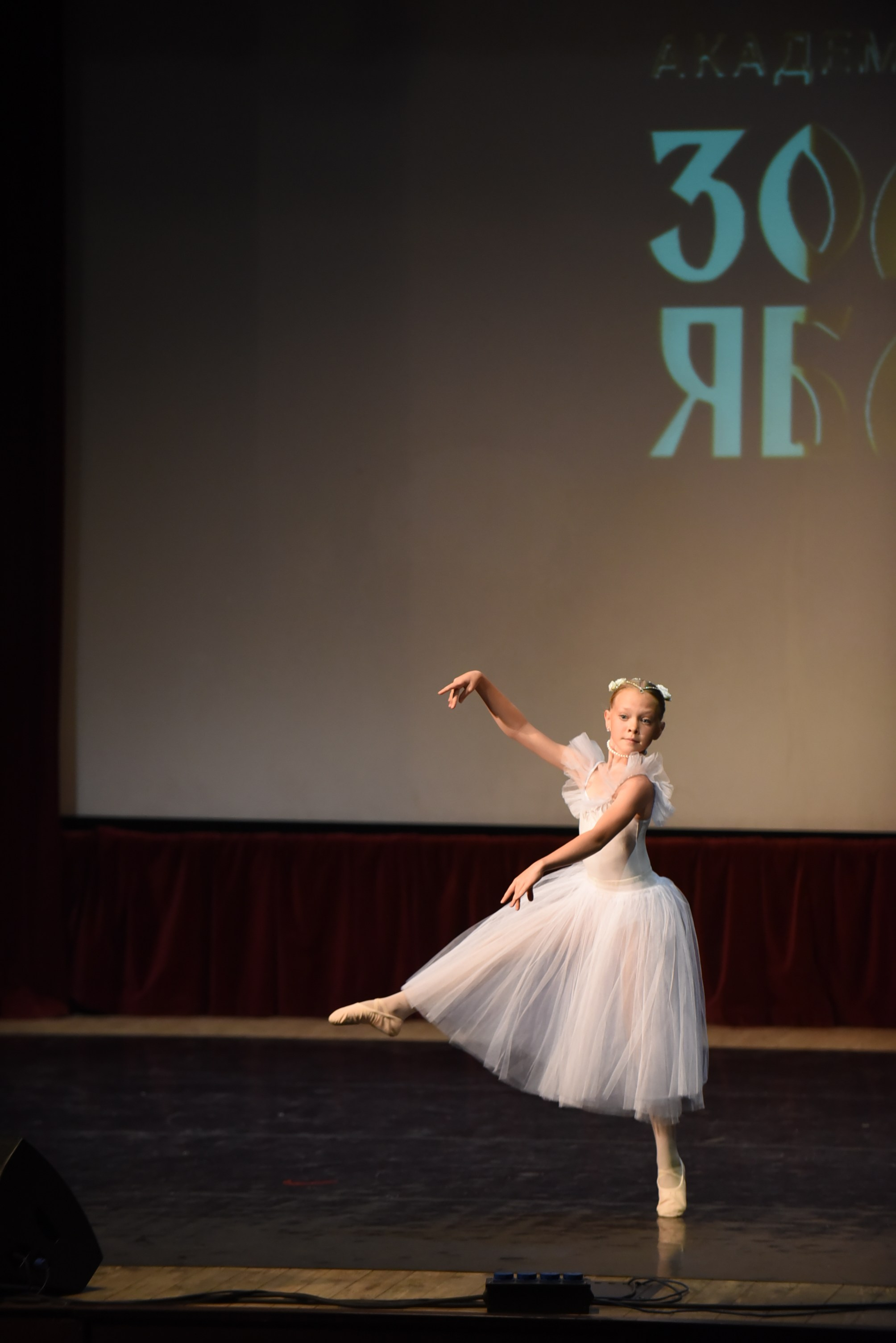 17 ноября, 3 блок, г. Москва. Золотое яблочко