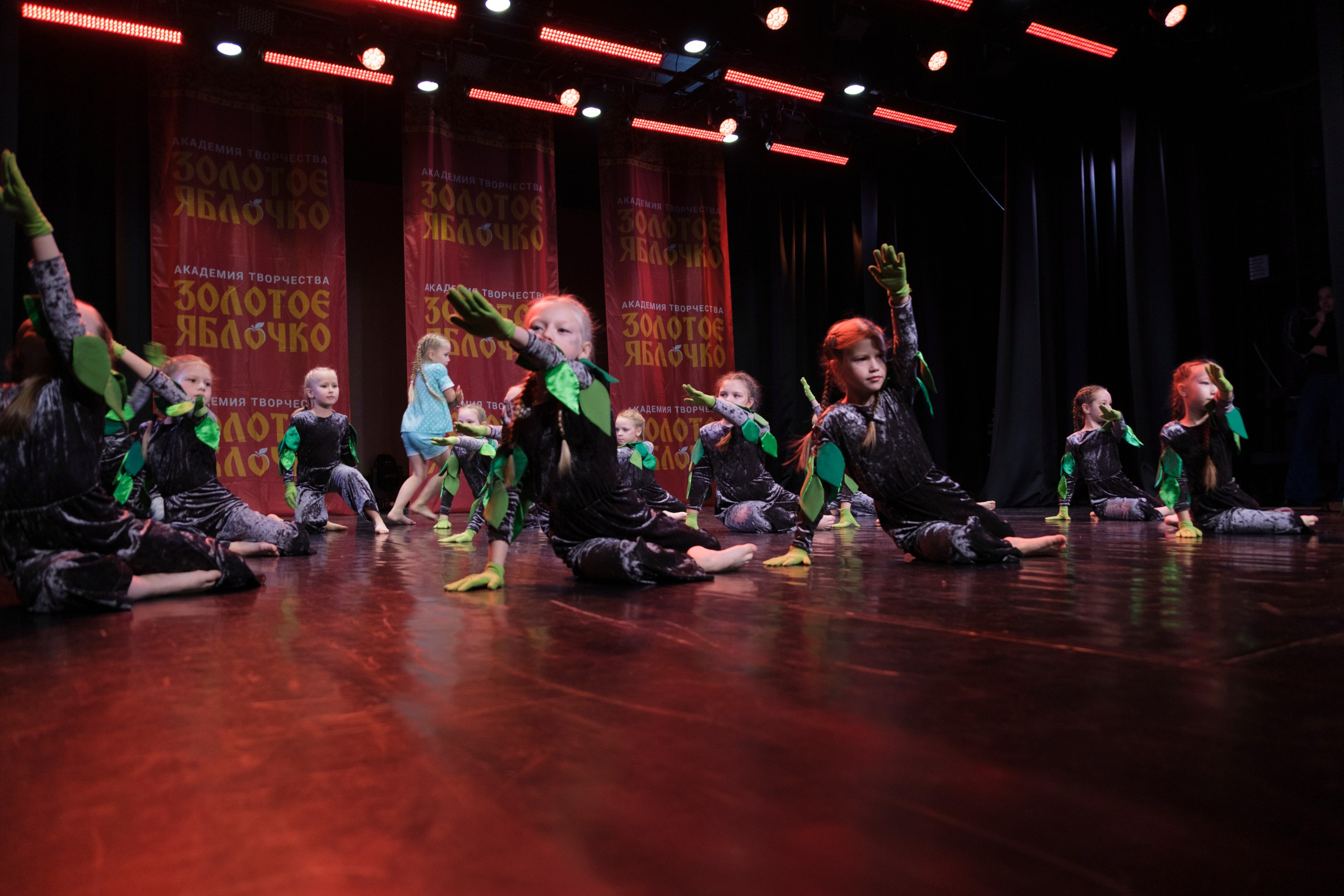 17 ноября, г. Великий Устюг. Золотое яблочко