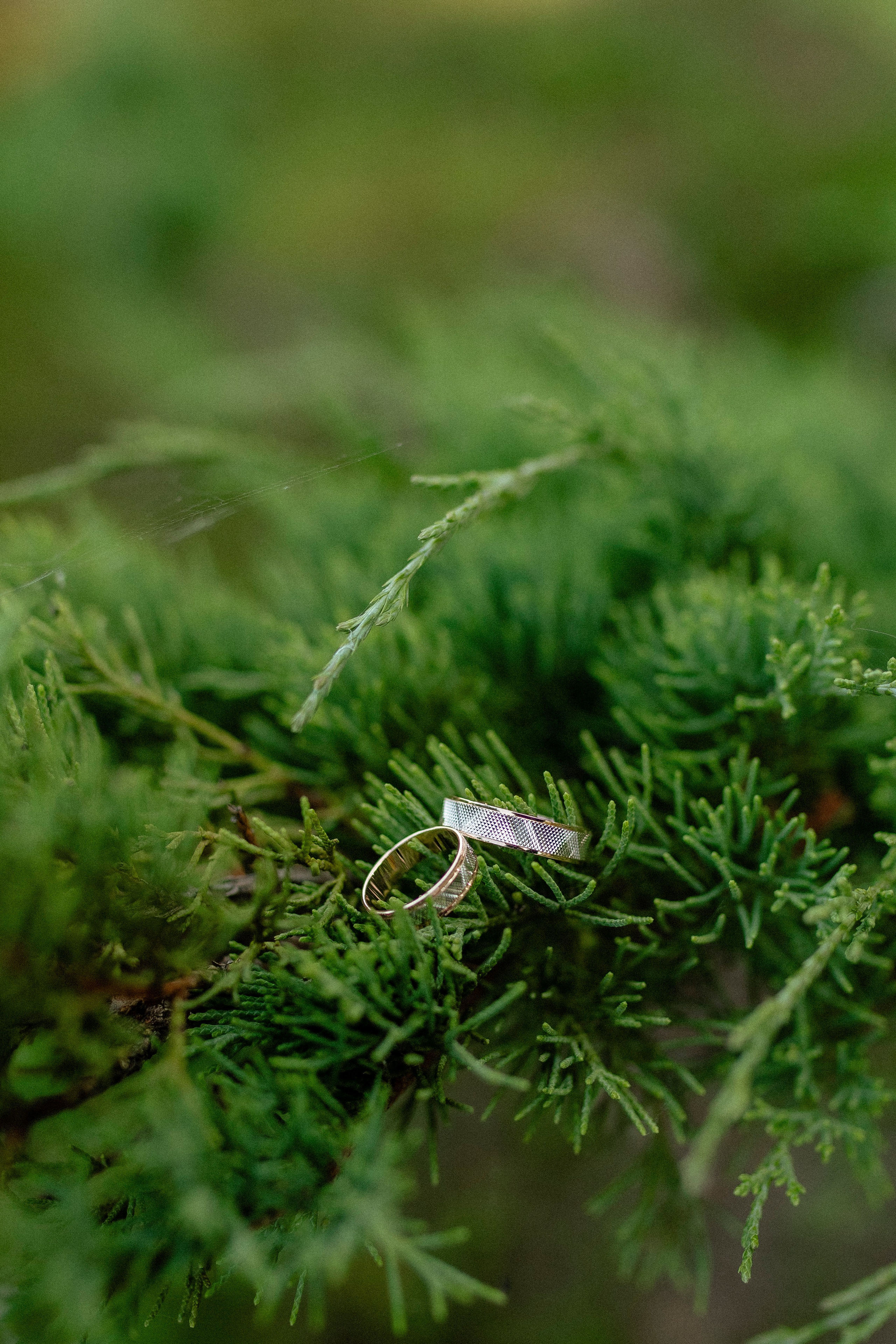 Юля и Кирилл 23.08.24. Индивидуальный, семейный и свадебный фотограф