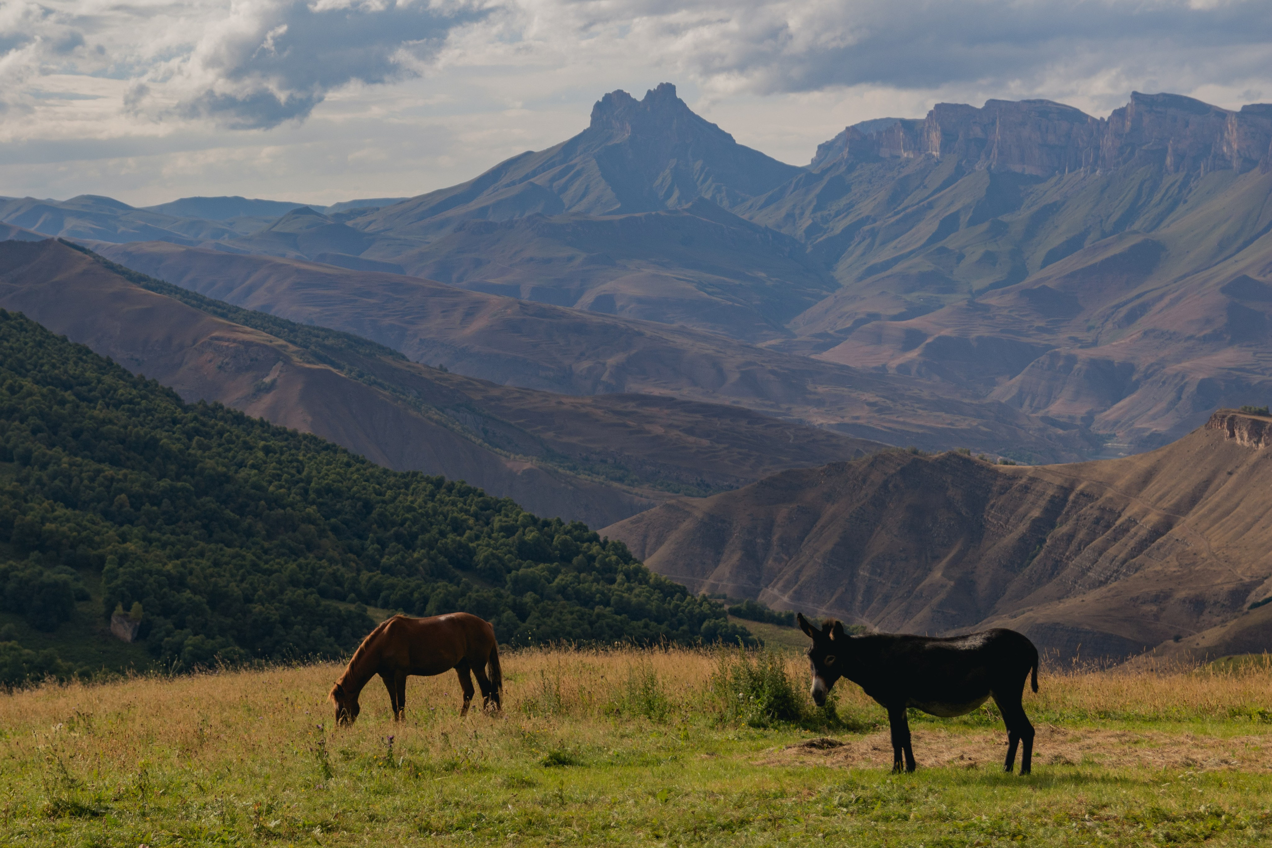 Кабардино-Балкария. Фотограф Севастополь, Крым. Портретный и репортажный фотограф Коваленко Антонина