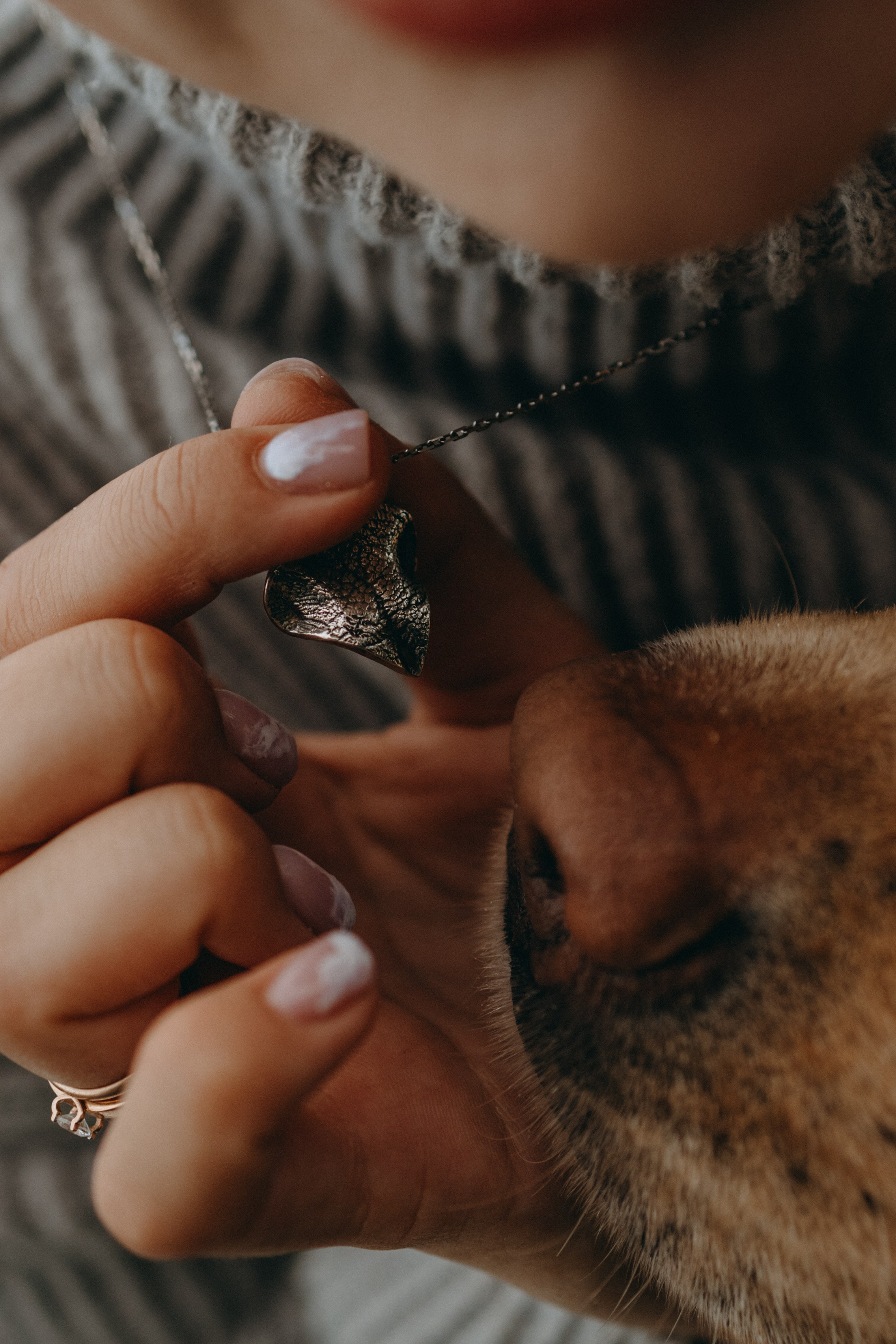 Наташа и Шани. Фотограф — Анималист | Санкт-Петербург