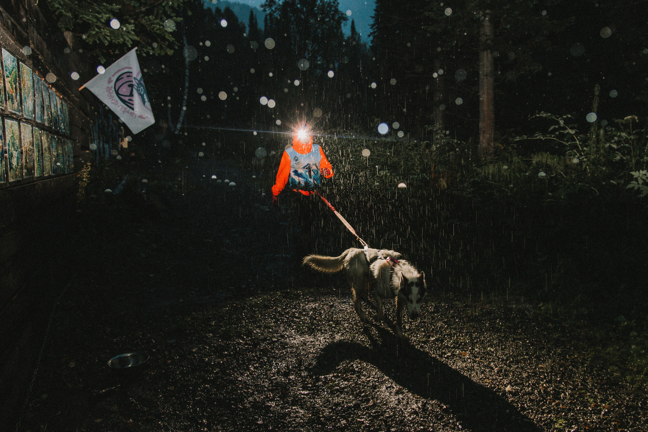 Дог-треккинг