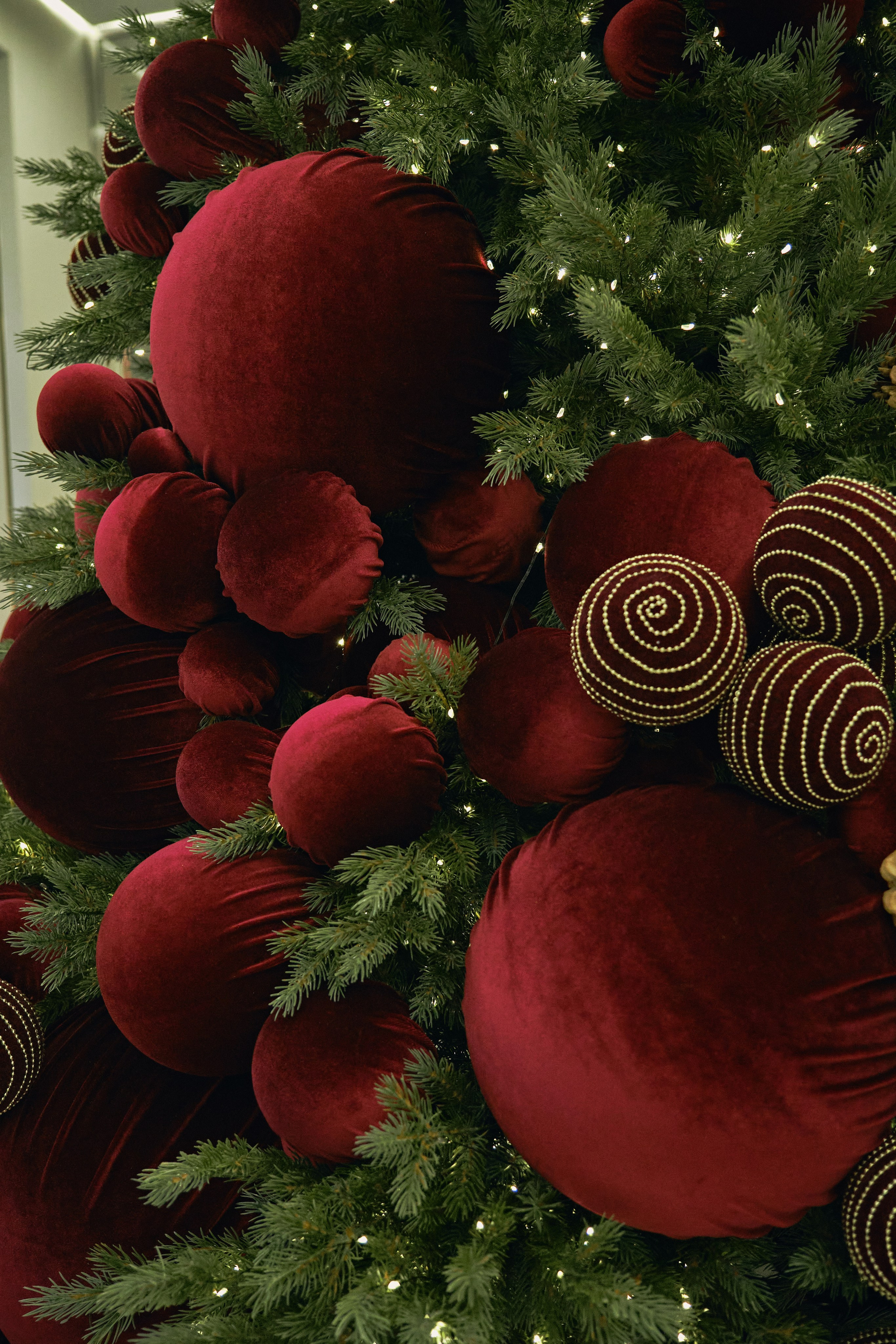 Тисс 2025. Ксения Почтарь. Декоратор и флорист, город Владивосток