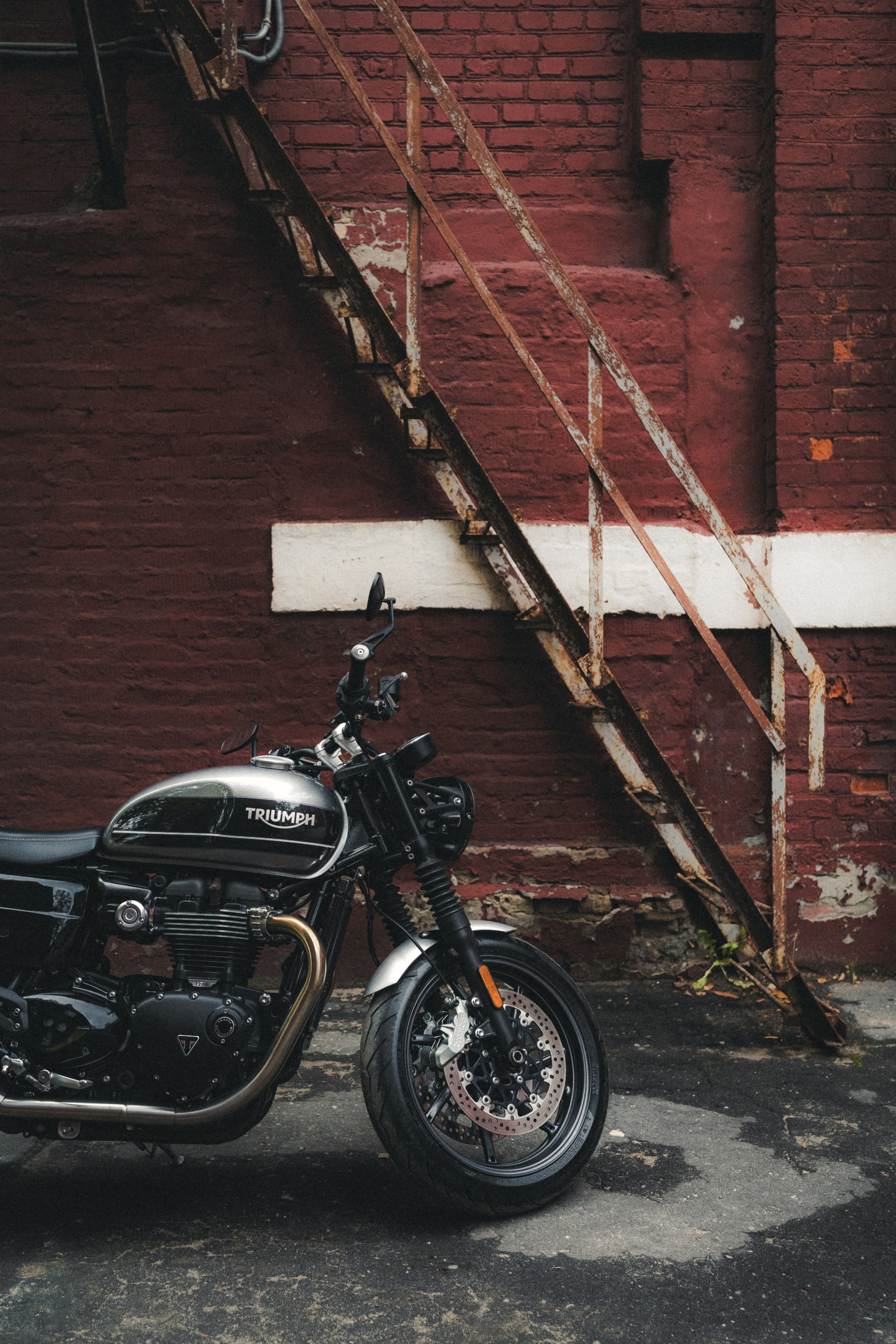 Triumph Speed Twin 1200 x Serge. Фотограф Илья К. в Москве