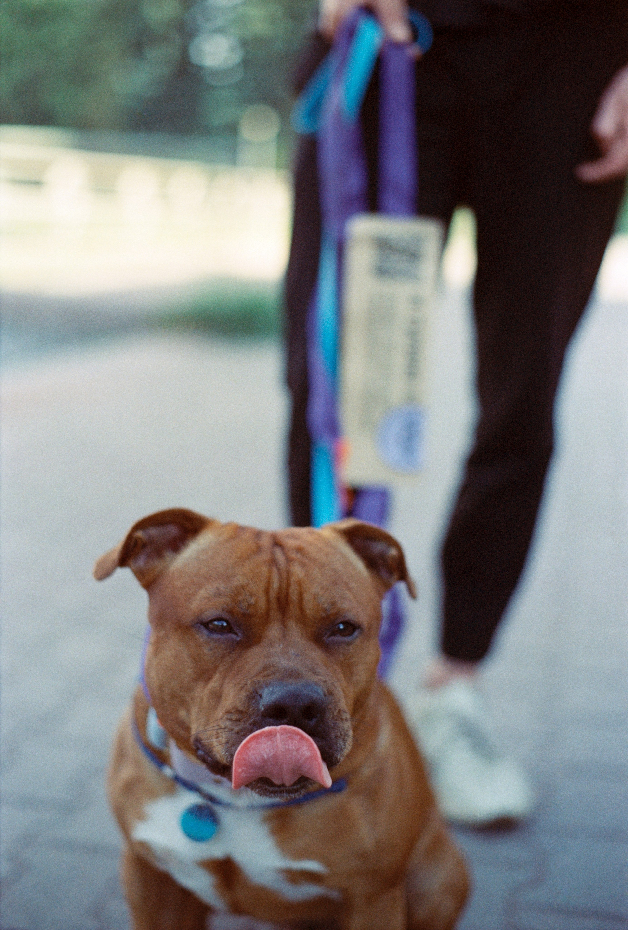 VOX. Стилист и плёночный фотограф Анастасия Шлокова в Санкт-Петербурге и Москве