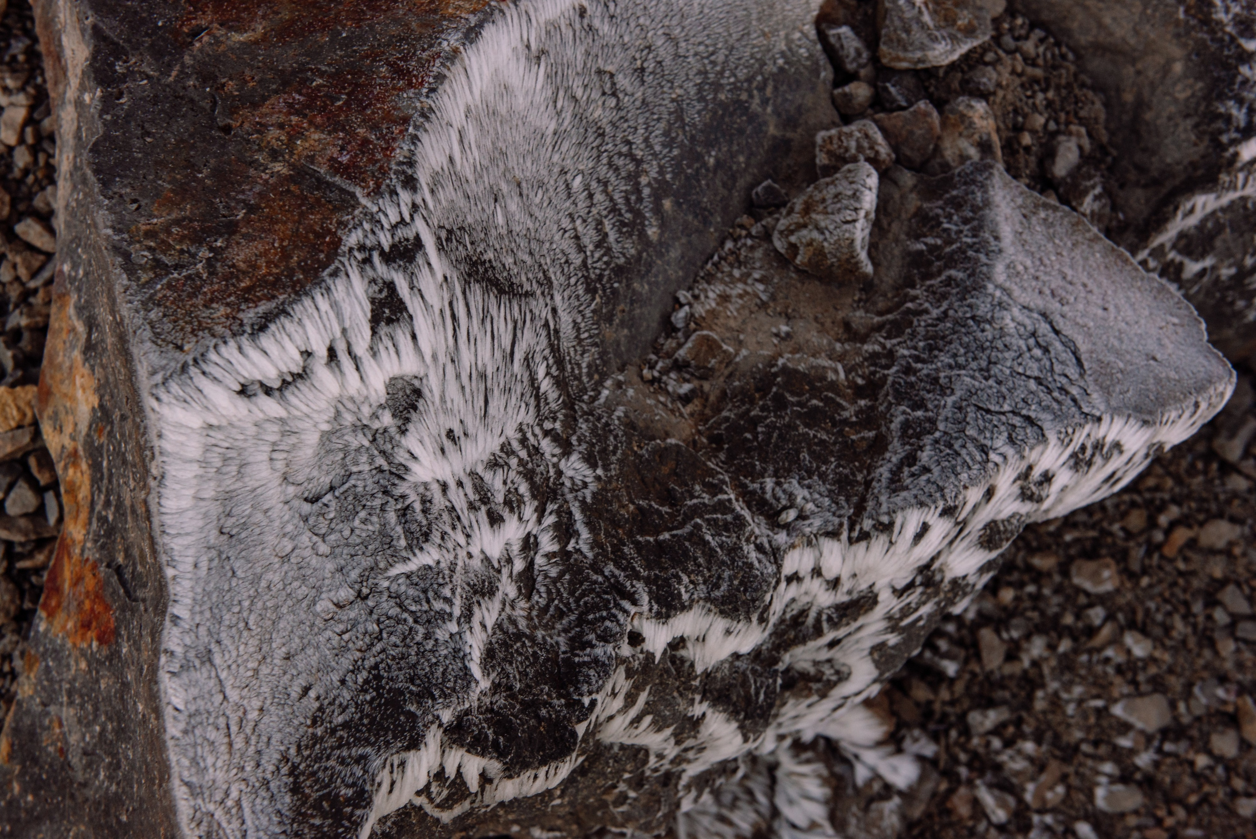 Восхождение на 5137 метров. Репортажный фотограф в Москве и по всему миру Степанова Юлия