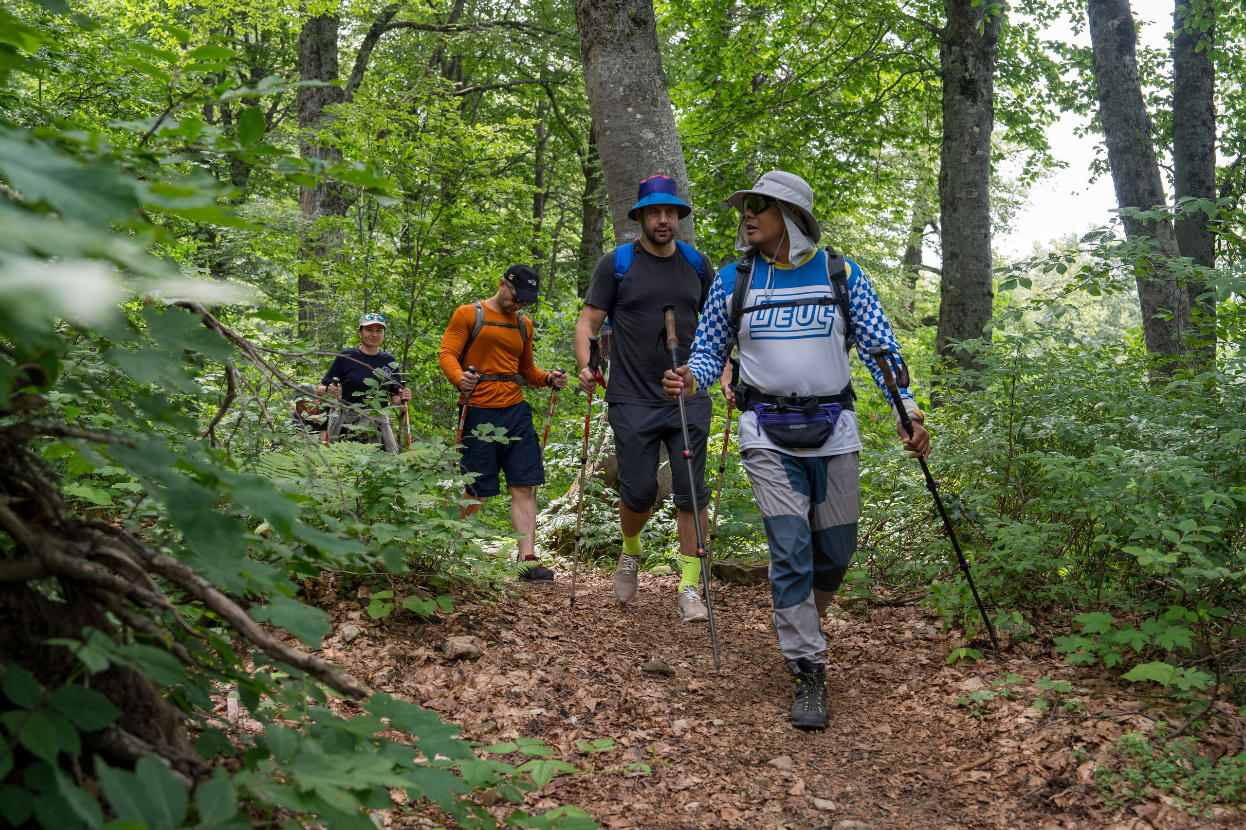MICE мероприятие для компании «Доставка морем»: хайкинг к Ачипсинским водопадам. Репортажный фотограф в Красной Поляне и Сочи Павлюченко Екатерина