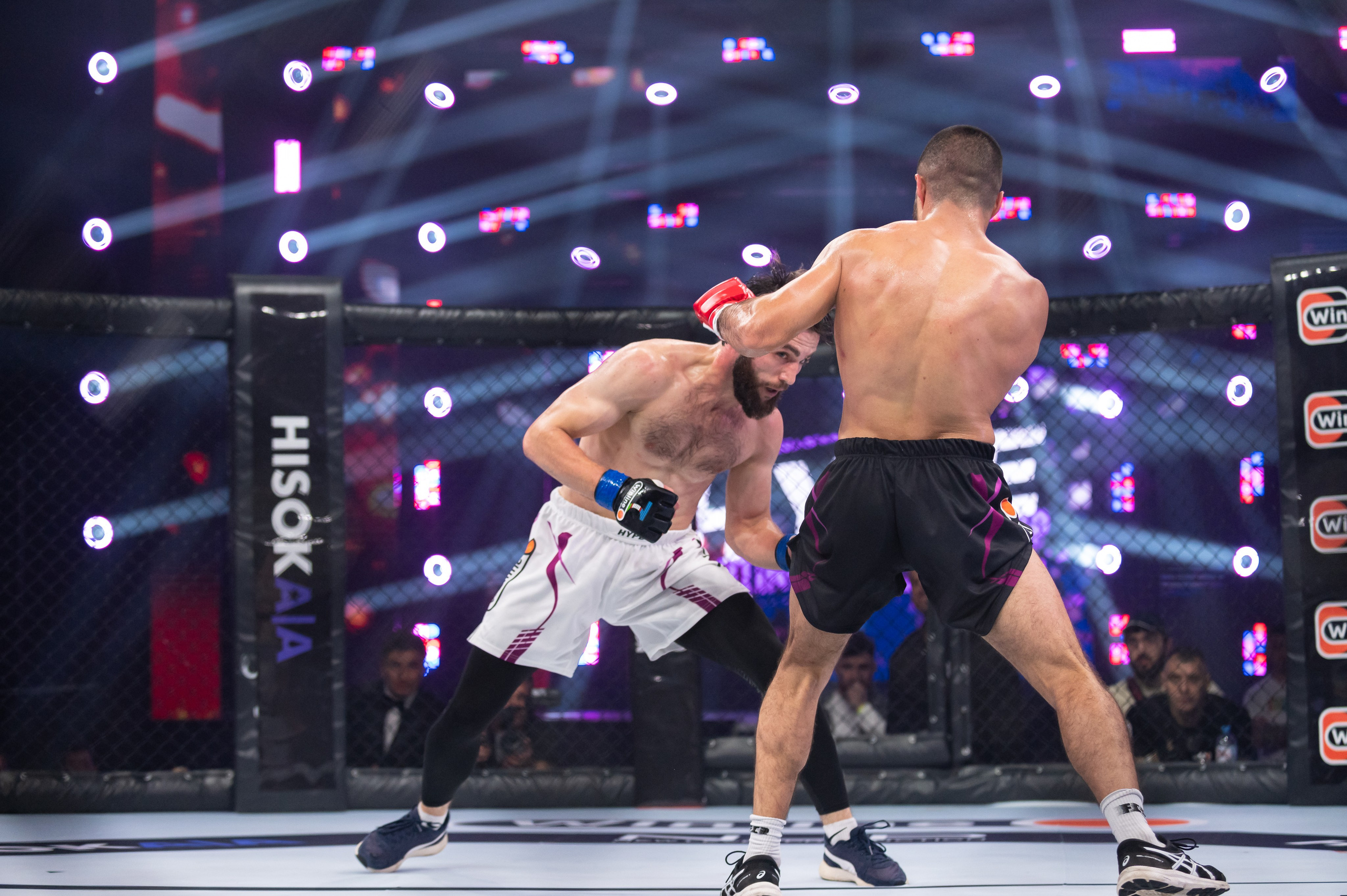 Бои. Репортажный фотограф в Красной Поляне и Сочи Павлюченко Екатерина