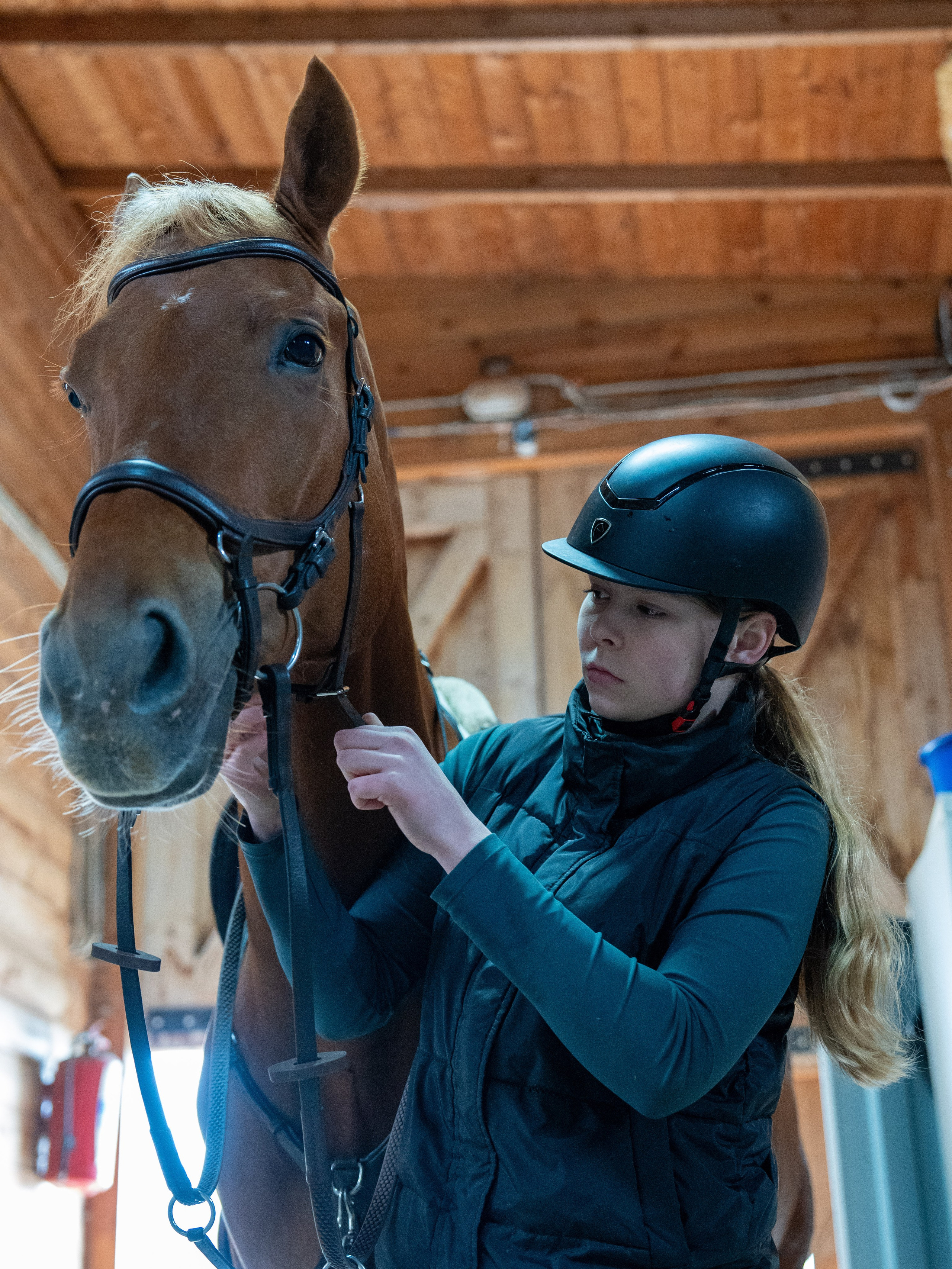 MICE мероприятие на ферме Экзархо. Репортажный фотограф в Красной Поляне и Сочи Павлюченко Екатерина