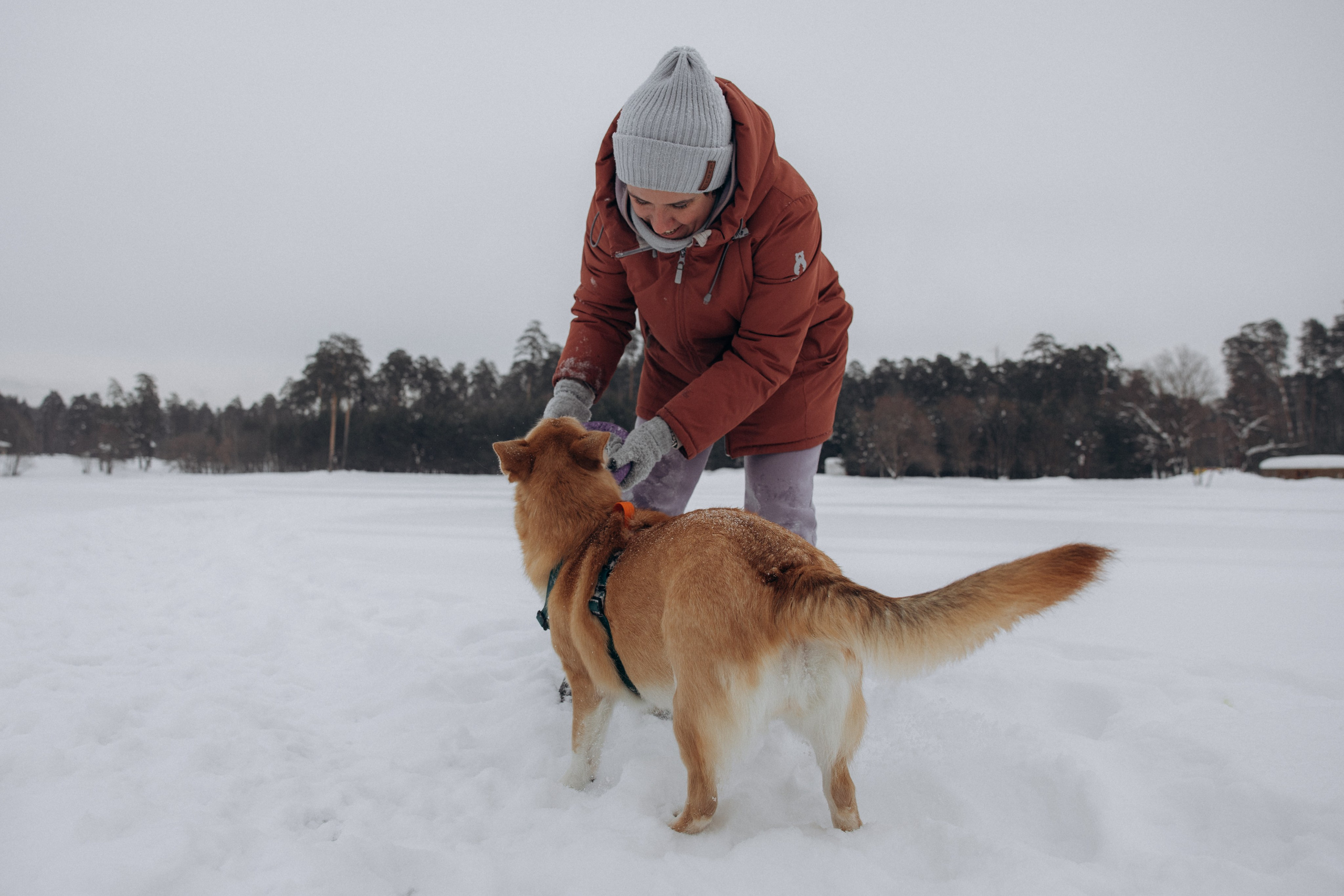 Прогулка на озере зимой. Фотограф анималист в Казани Алина Сулейманова. Фотограф животных
