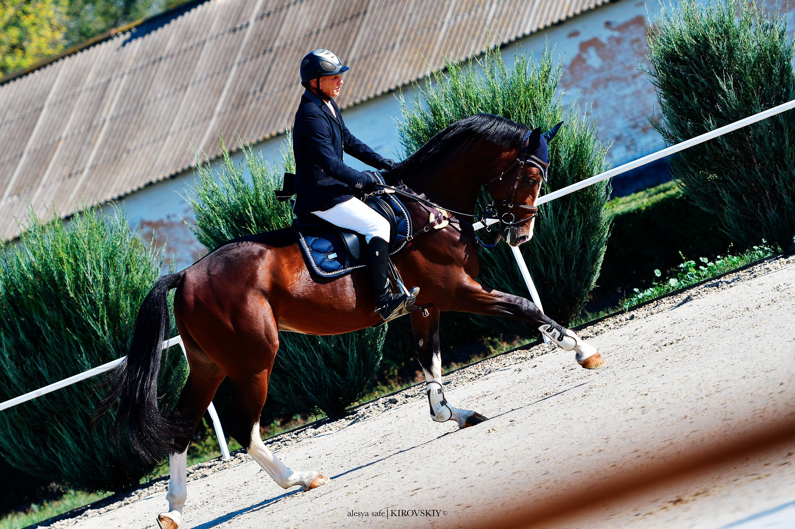 Кировский конный завод. Конный фотограф Alesya Safe