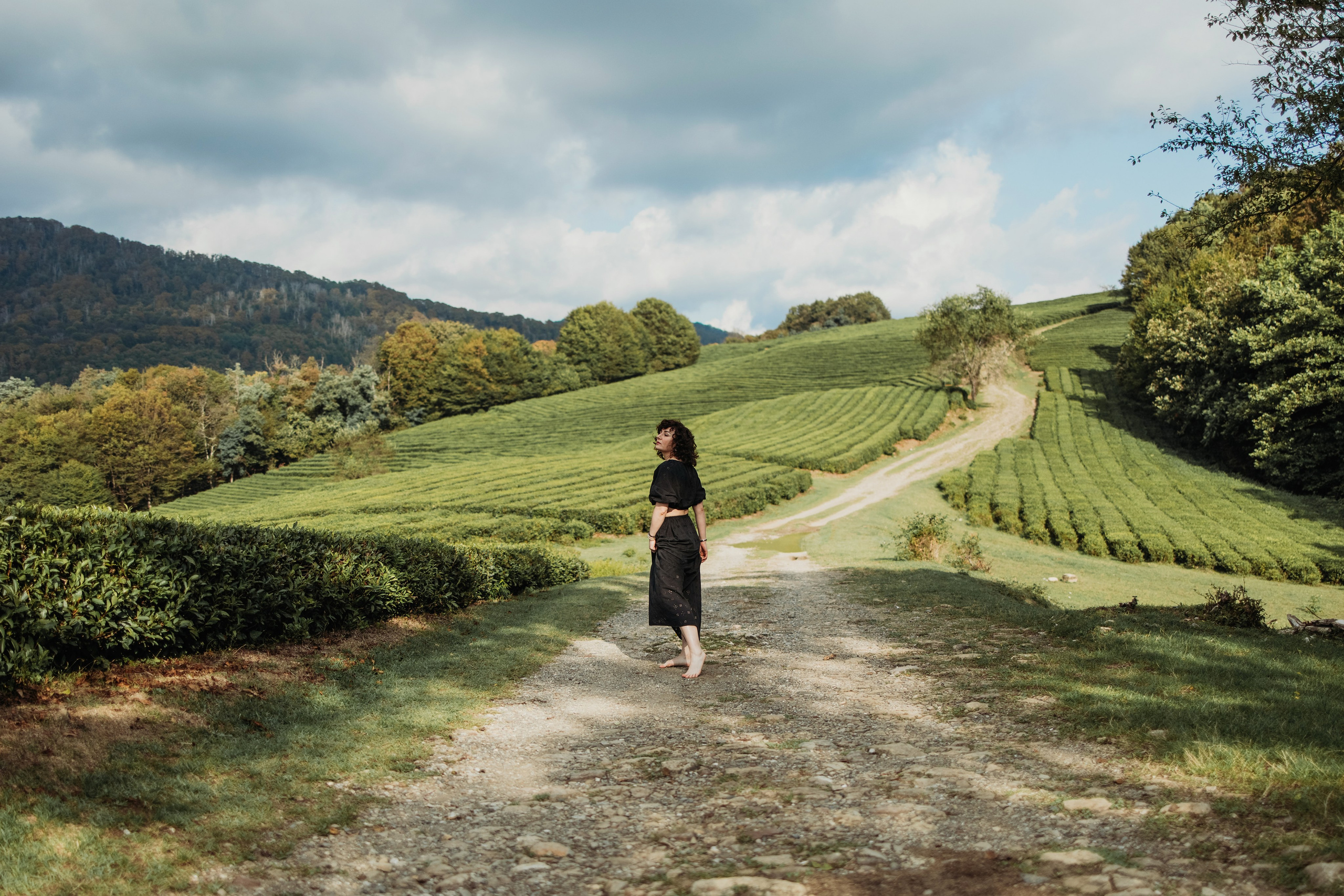 Чайные плантации мацеста. Фотограф Сочи Татьяна Зорина