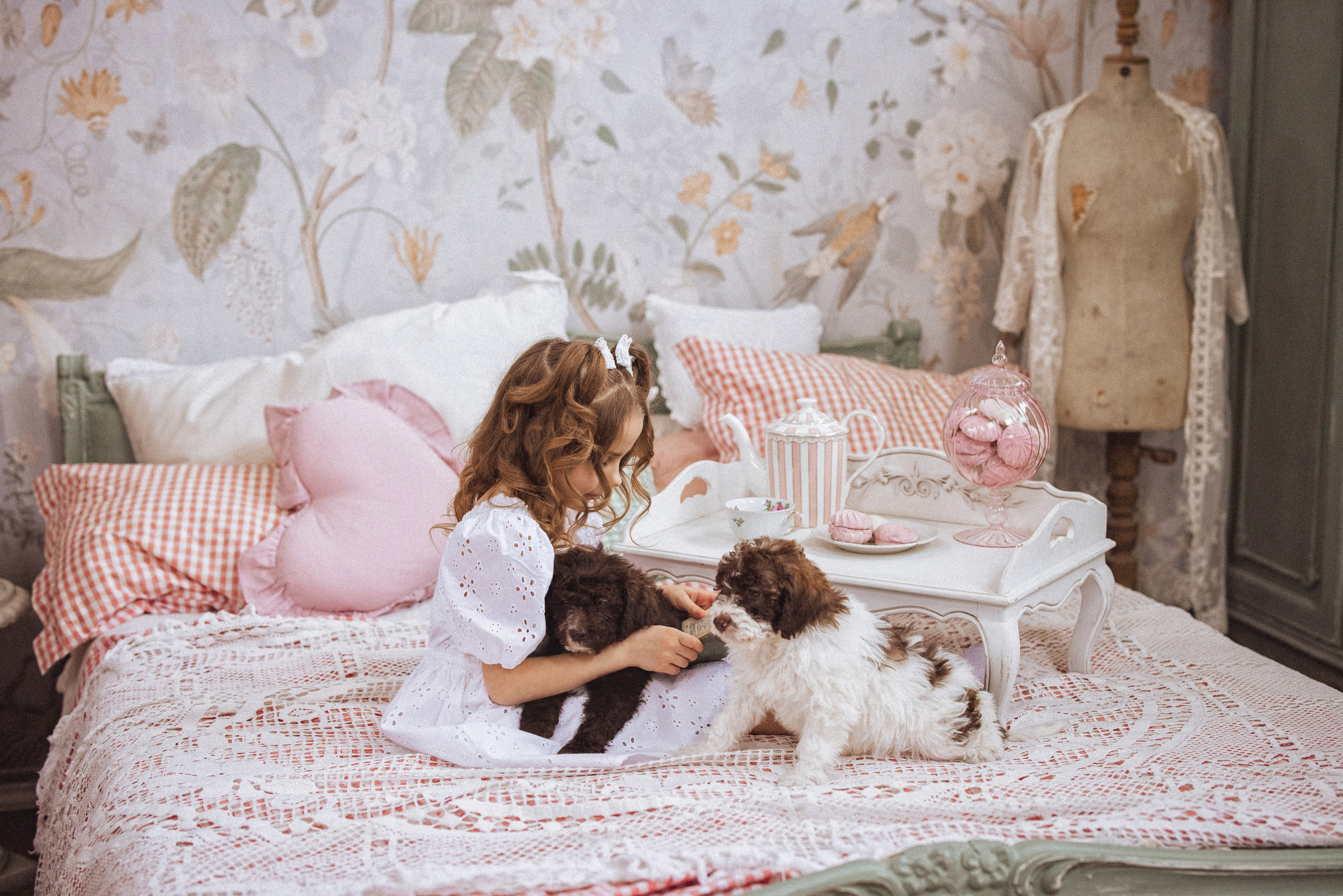 Фотосессия с щенками Лаго́тто-романьо́ло, в Винтажной фотостудии город Краснодар. Семейный и детский фотограф в Краснодаре Анна Трашкова