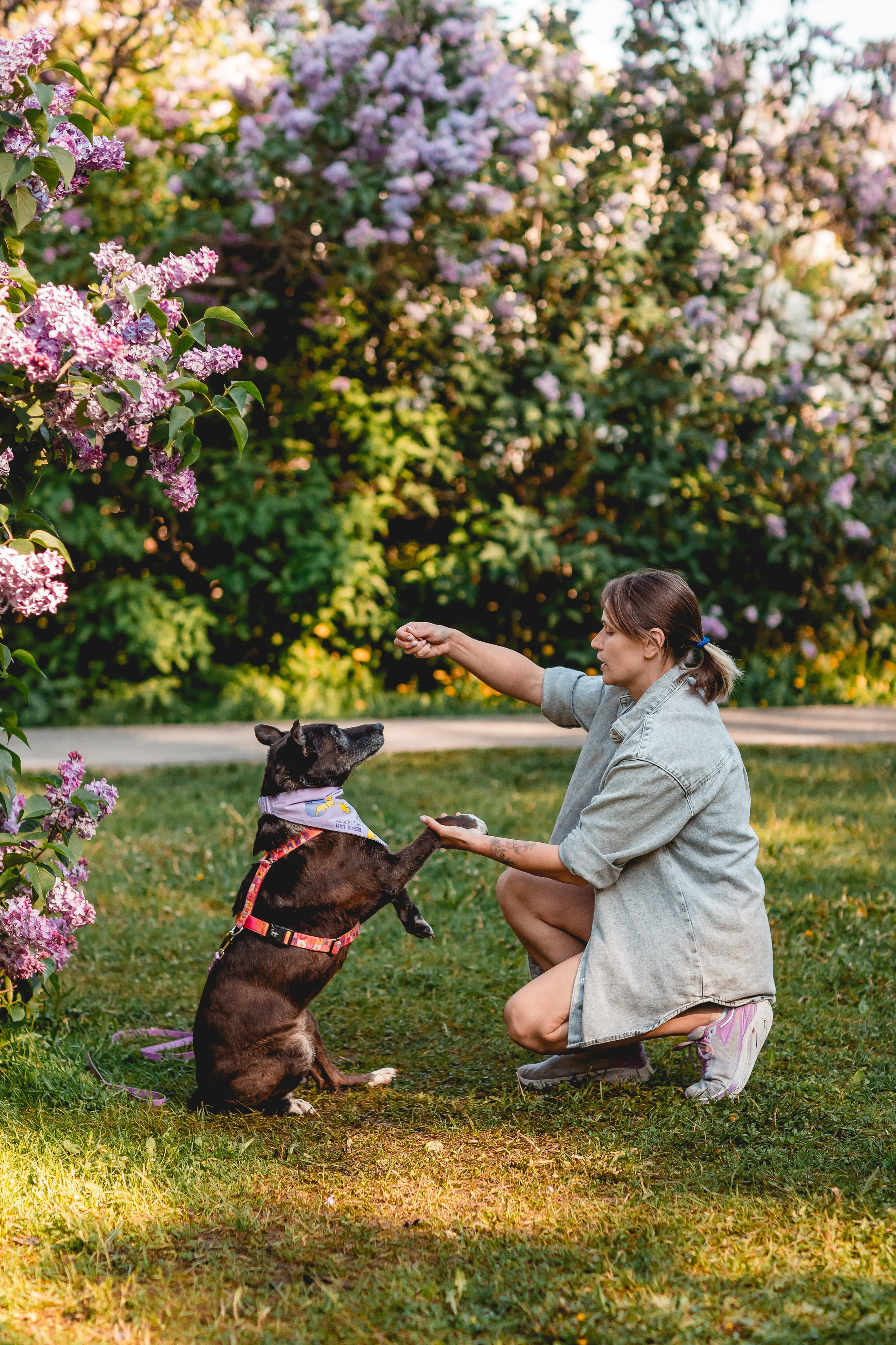 Ира, Альма и Белла. Семейный фотограф анималист Мария Крючкова